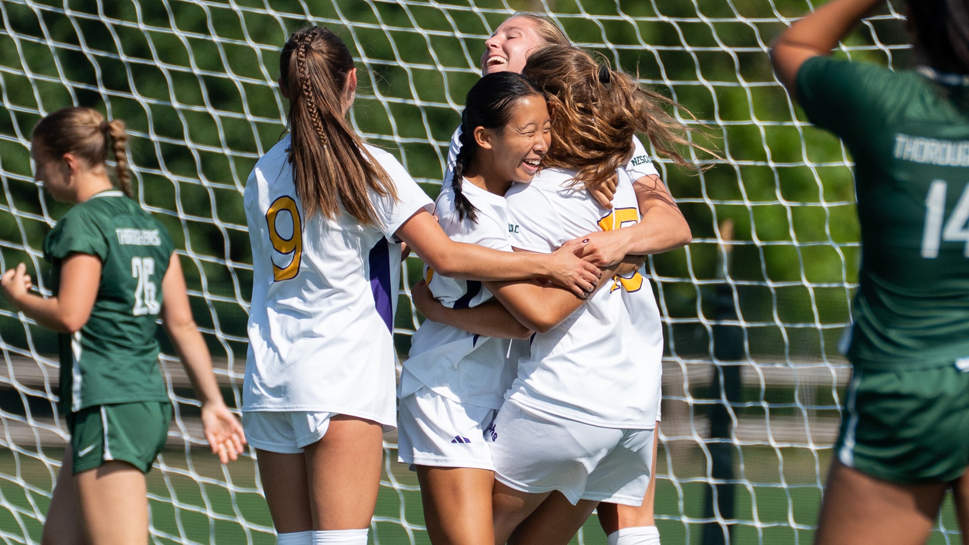WSOC Story 6-13-26