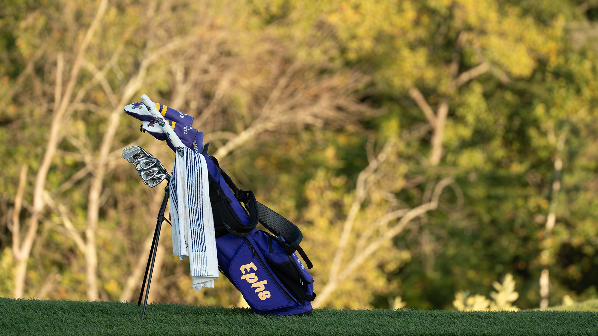 Golf Bag on the course