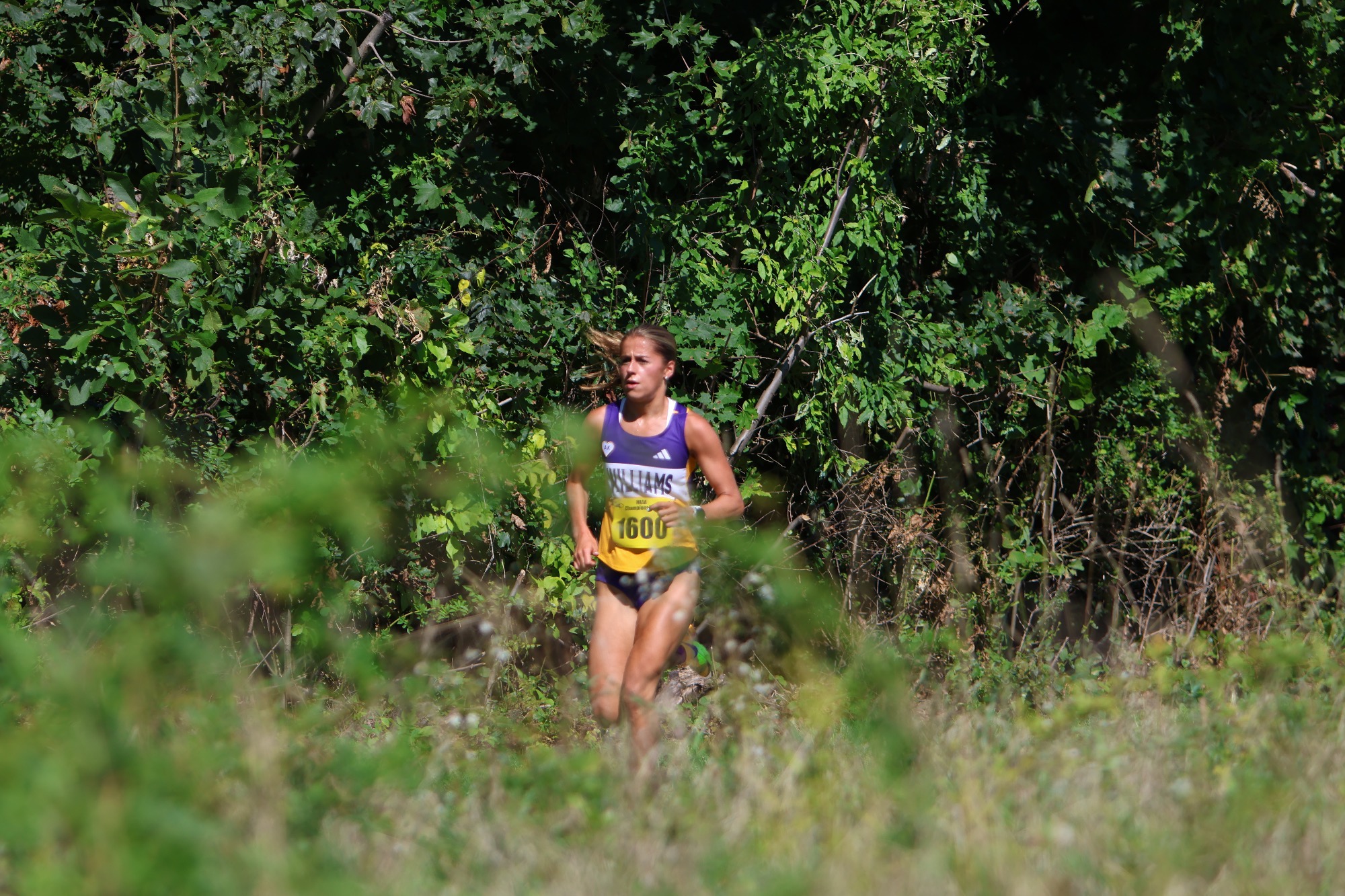 Kate Tuttle