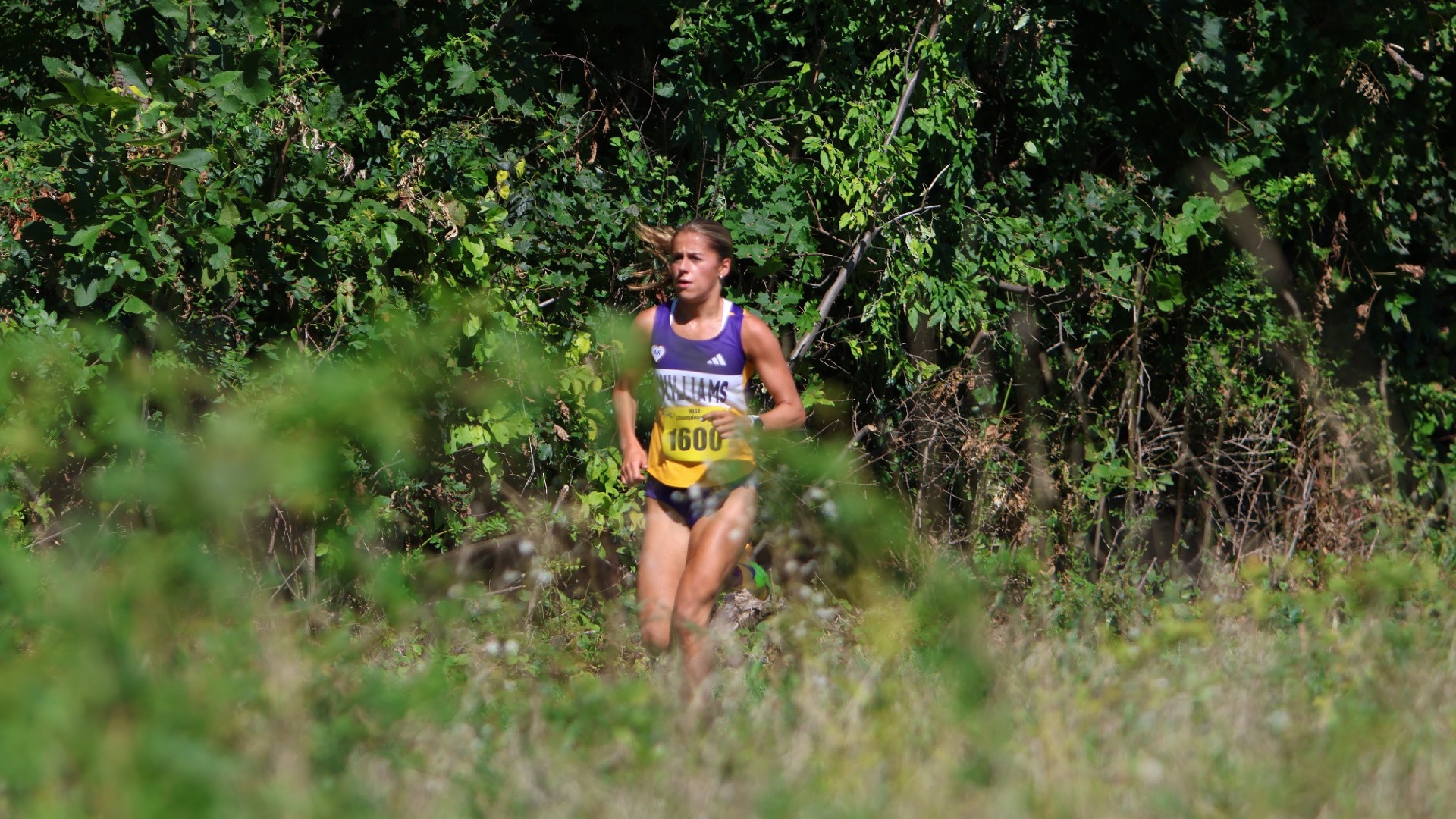 Kate Tuttle