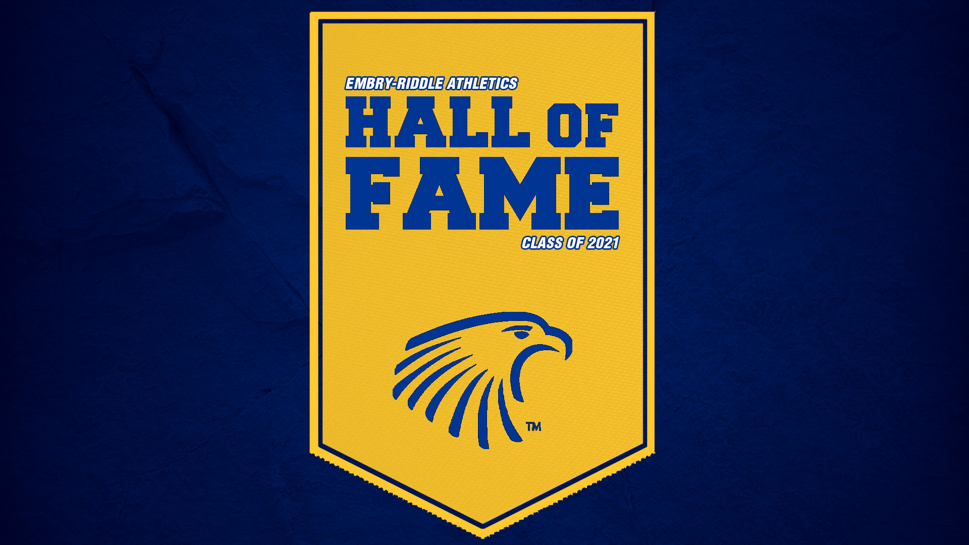 Hall of Fame 2021 story graphic