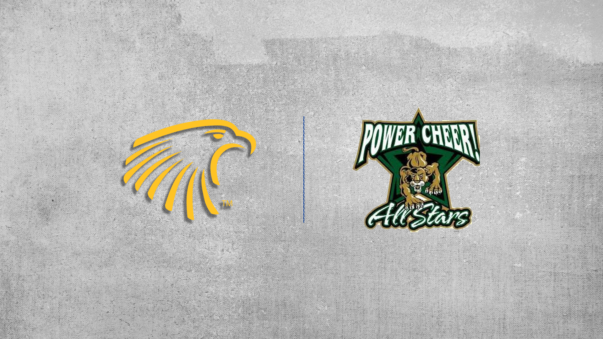 PCA ERAU PARTNERSHIP