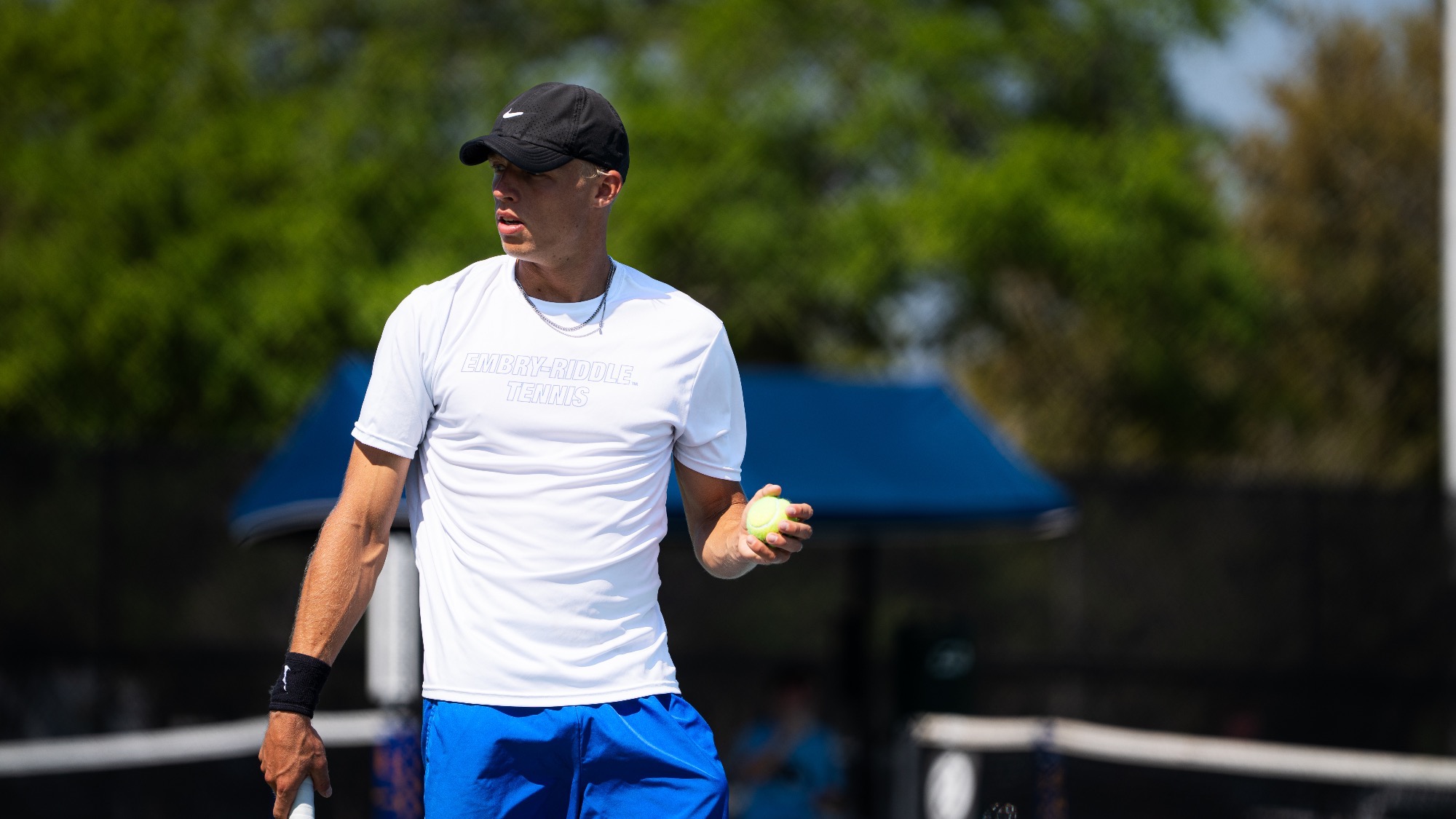 Mark vs Franklin Pierce