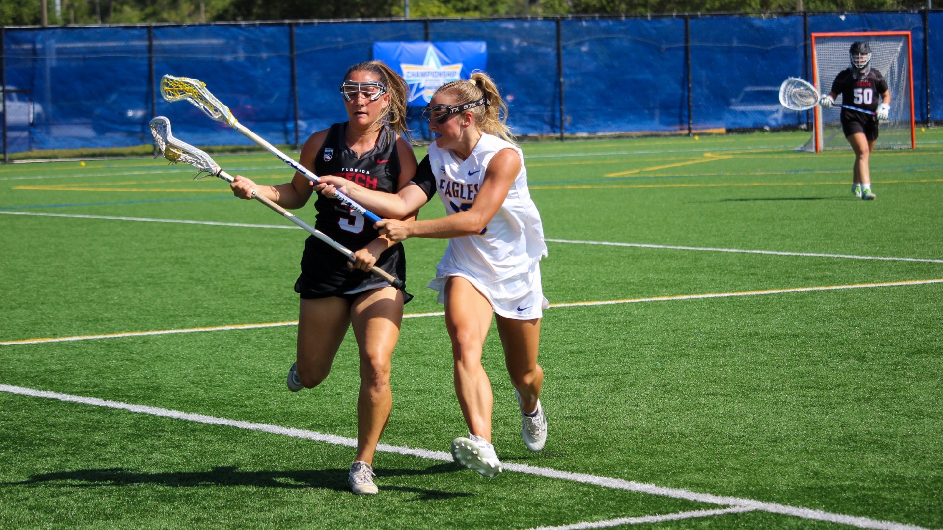 Allison Cimaglia CTO