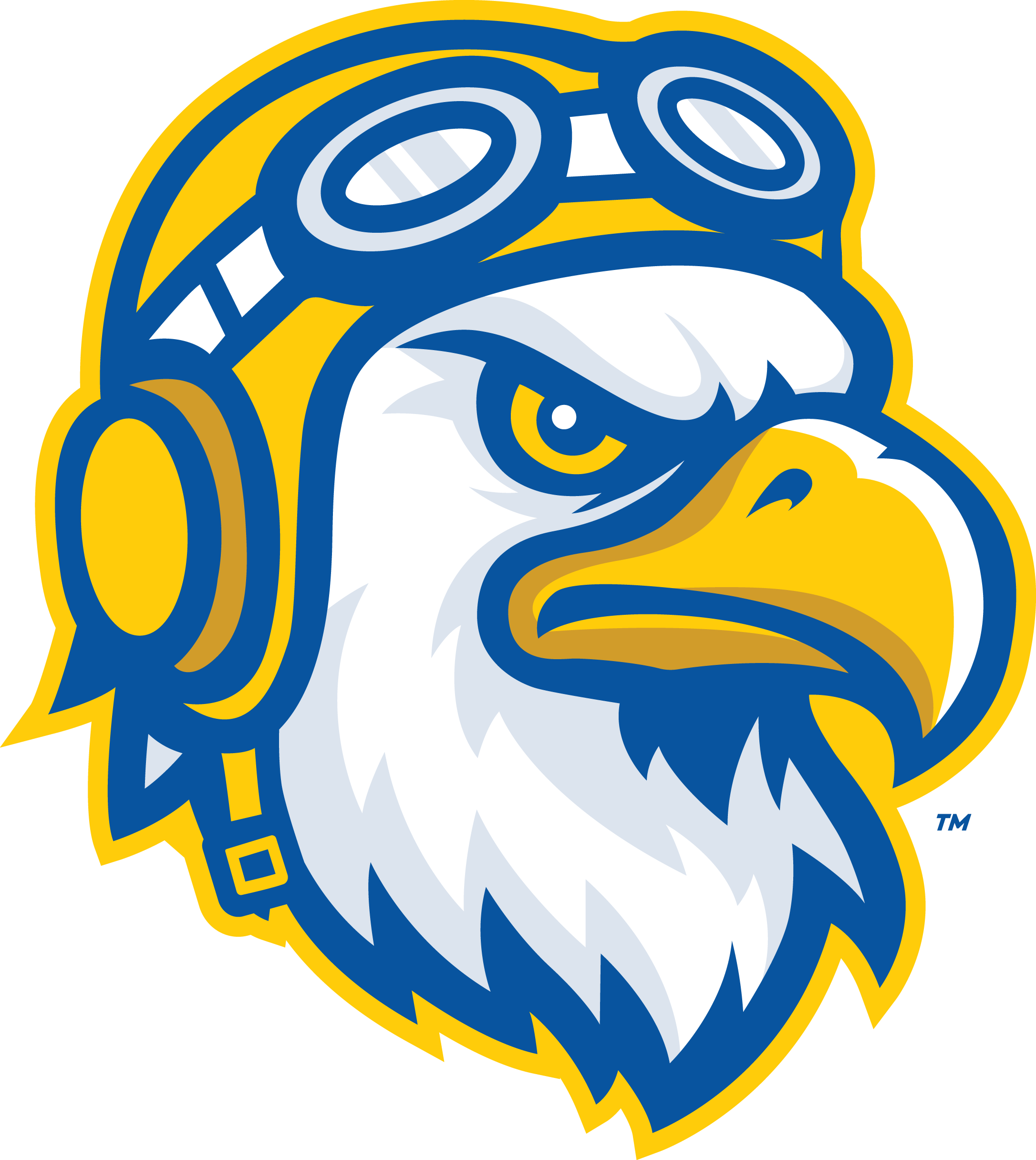Embry-Riddle Aeronautical University Athletics