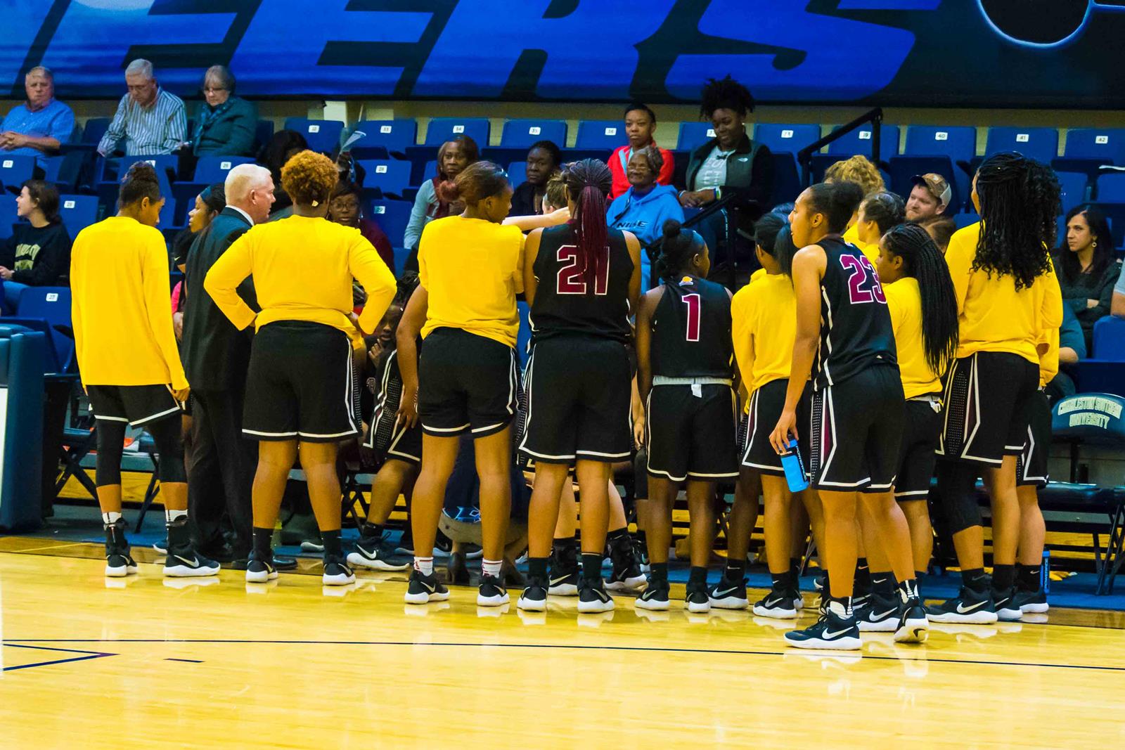 Rickese Brooks 20192020 Women's Basketball Erskine College Athletics