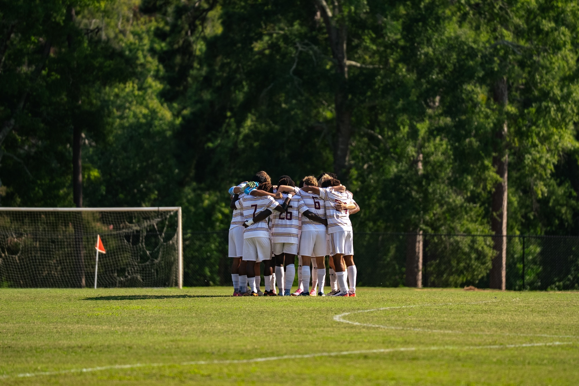 msoc