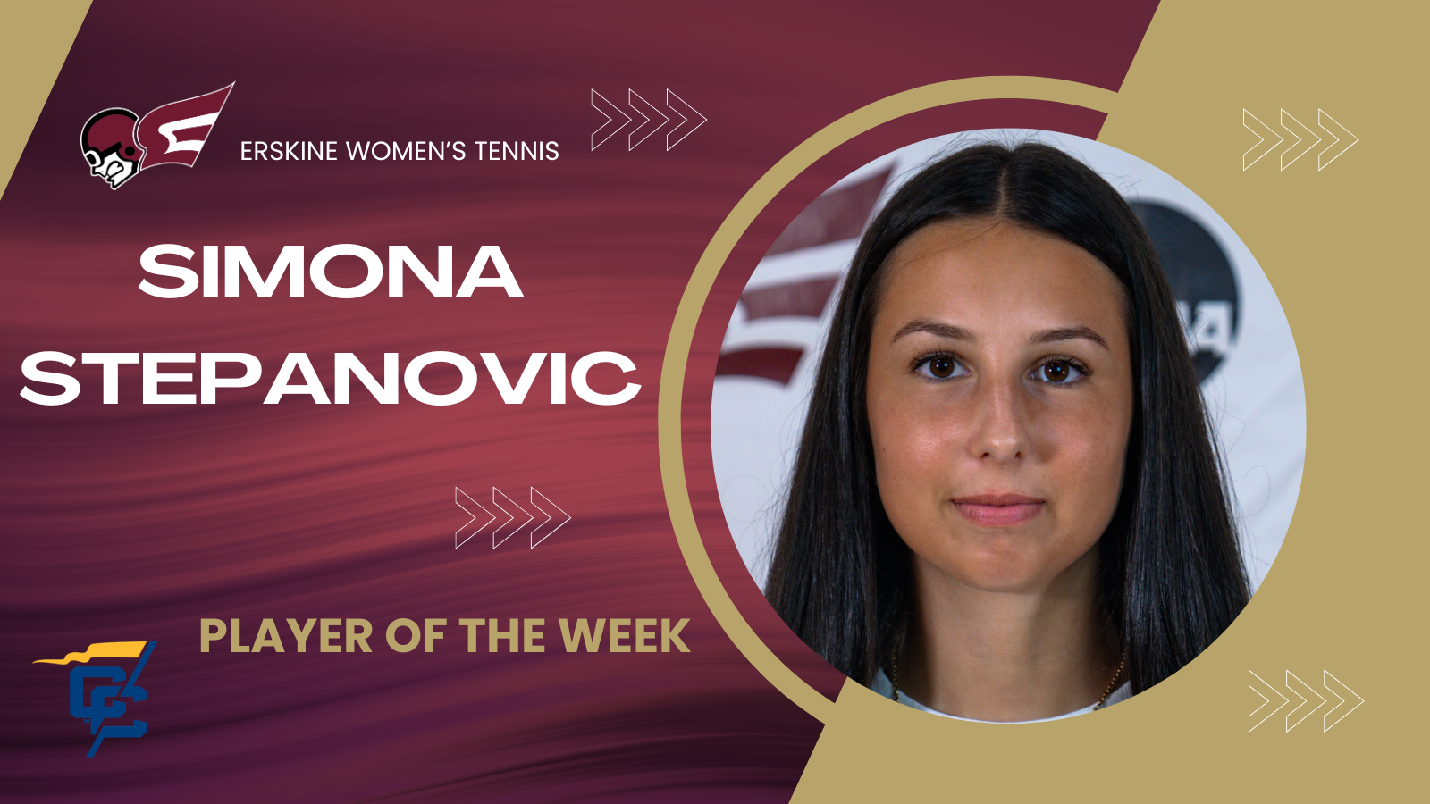 stepanovic cc potw