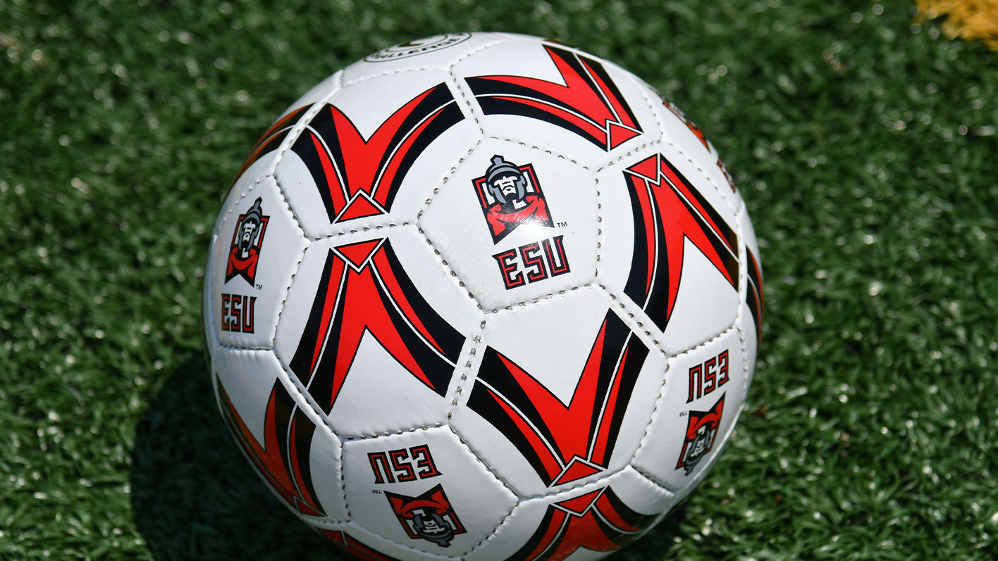 Generic Soccer Ball