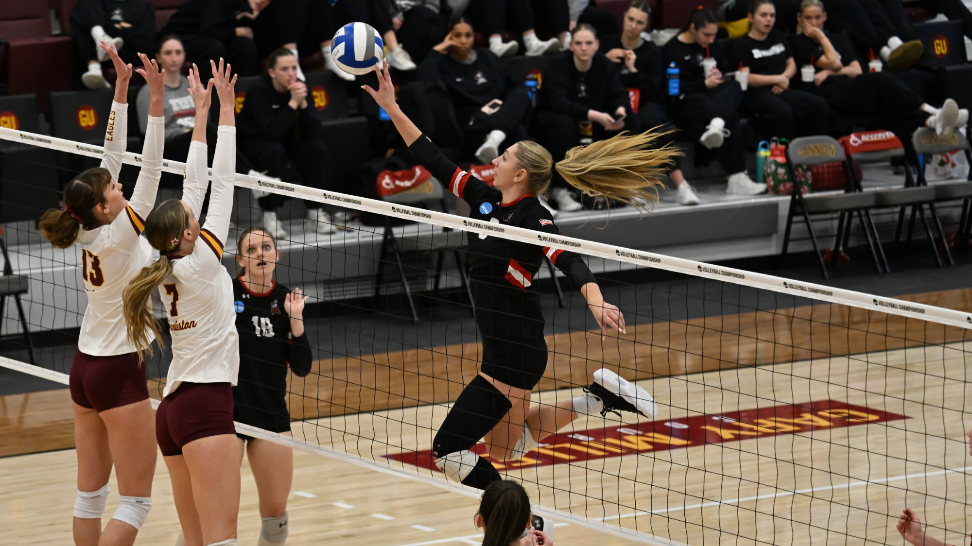 VB Coulter (12.4.25)