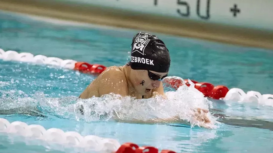 Anique Hazebroek