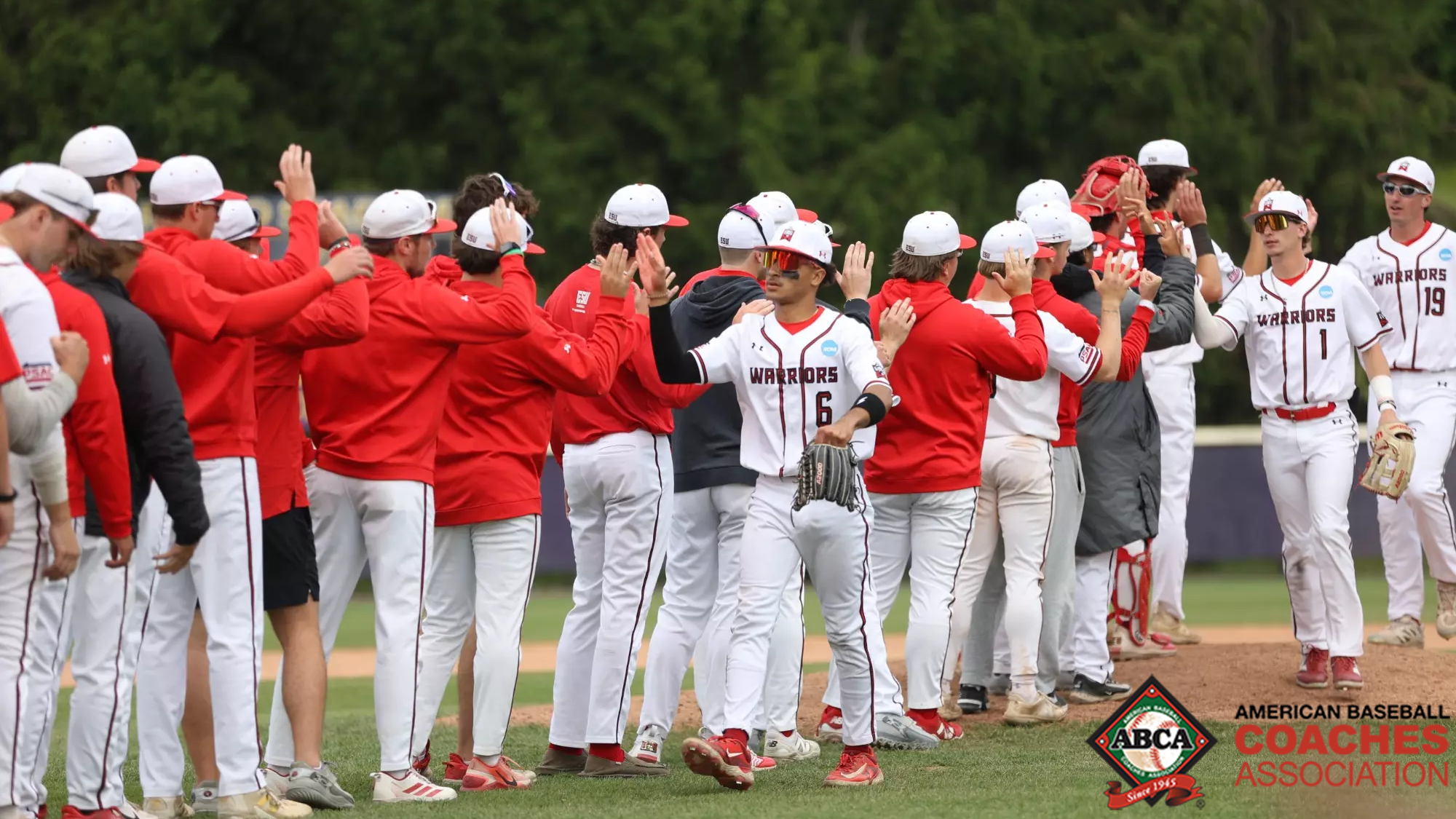 American Baseball Coaches Association Team Academic Excellence Award