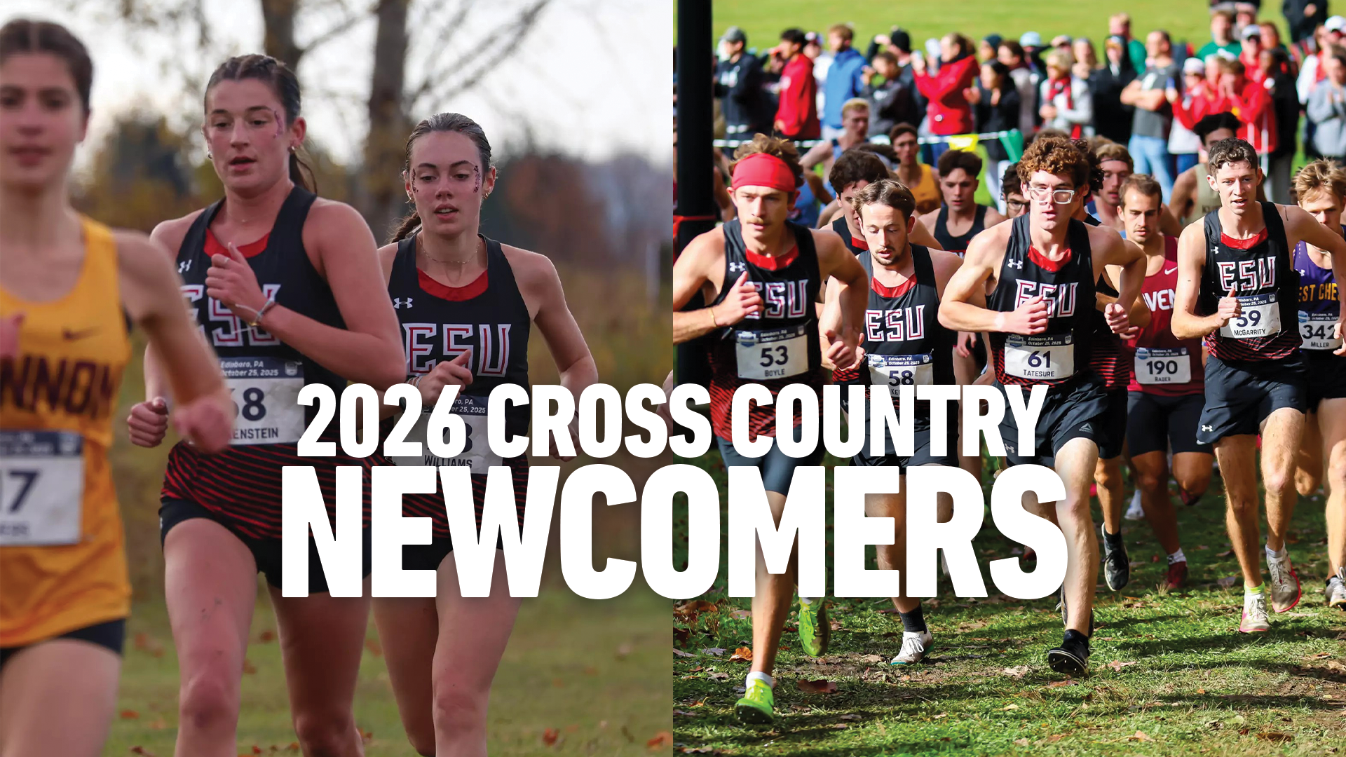 26 XC Newcomers