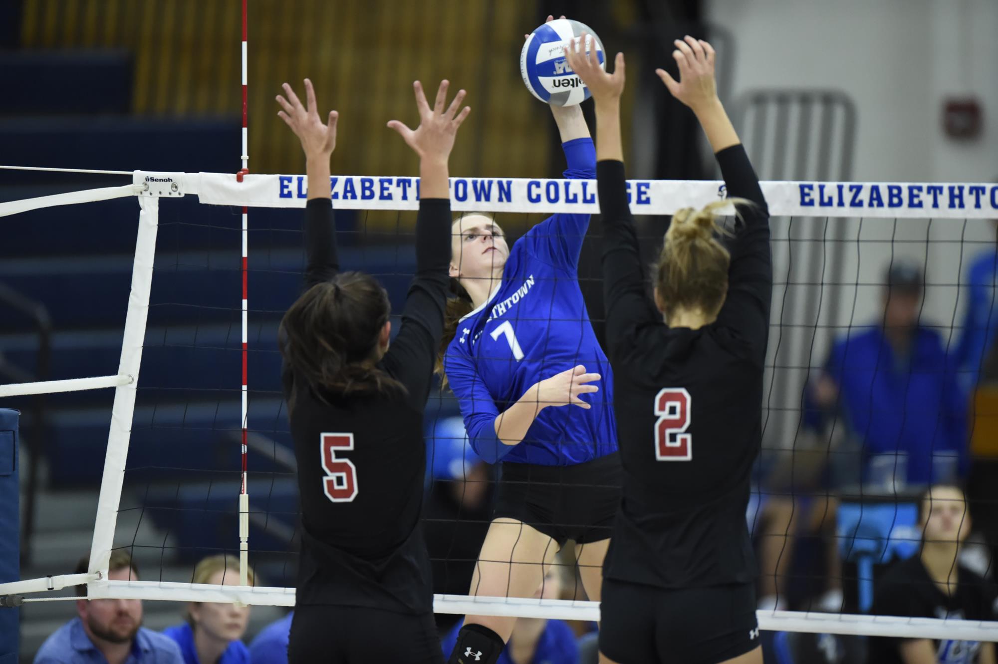Shelly Yohe Women's Volleyball Elizabethtown College Athletics