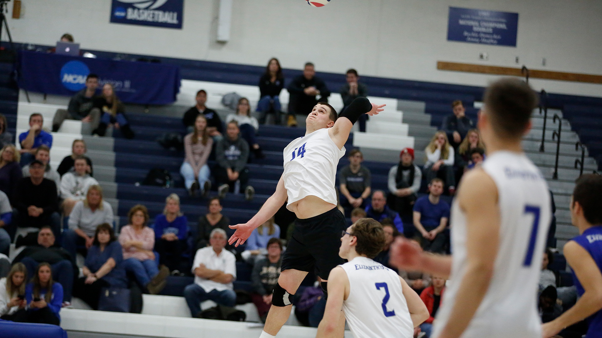 Nick Baxter Men's Volleyball Elizabethtown College Athletics
