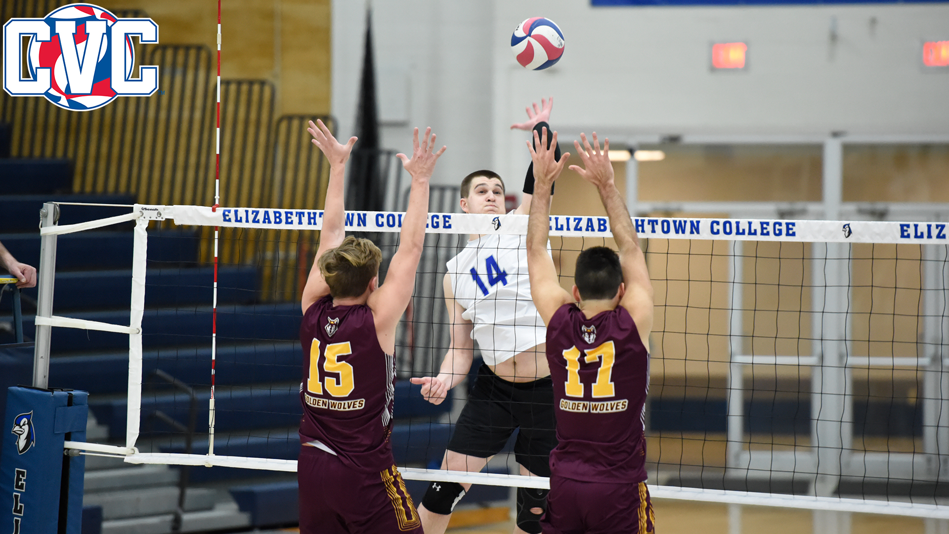 Nick Baxter Men's Volleyball Elizabethtown College Athletics