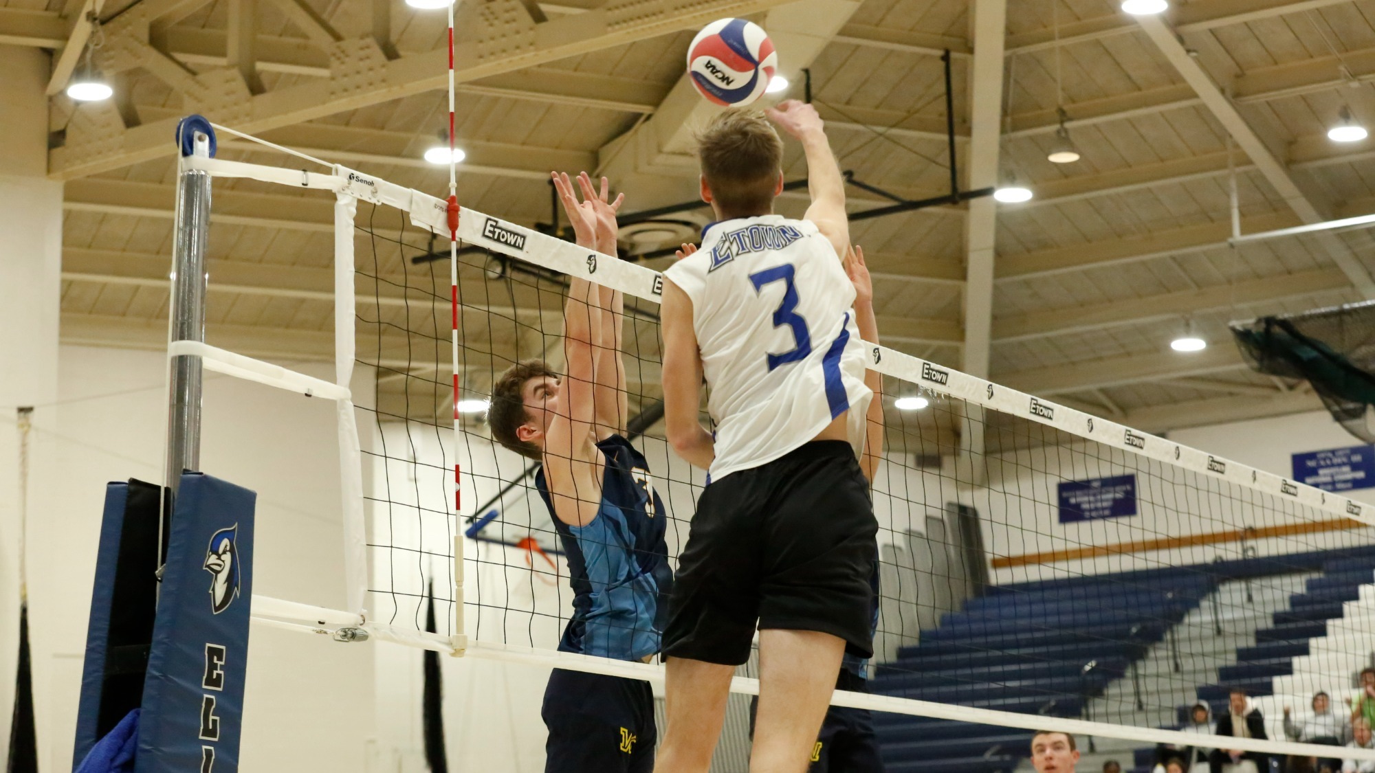 Nick Chapman Men's Volleyball Elizabethtown College Athletics