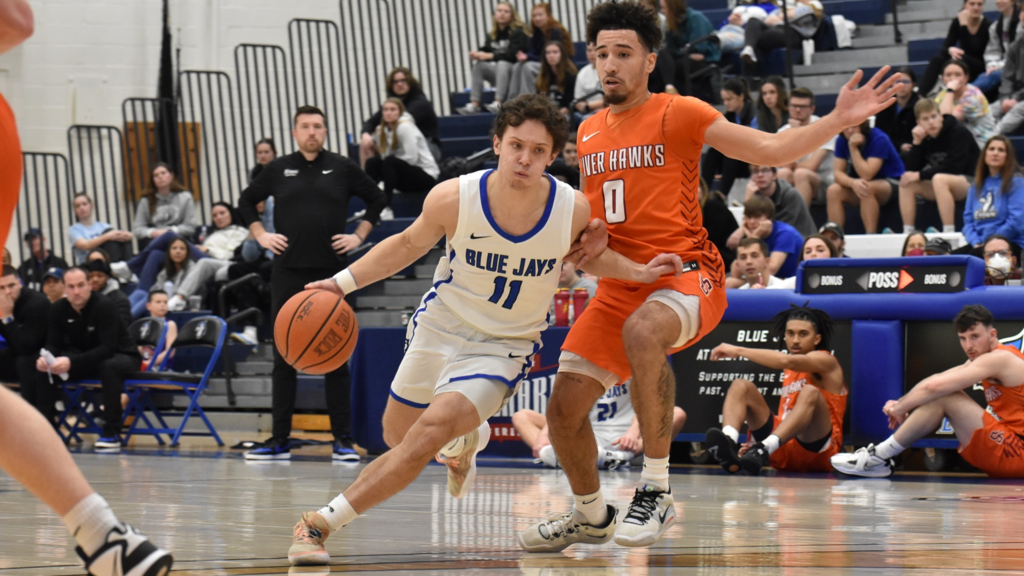 Austin Finarelli Men's Basketball Elizabethtown College Athletics