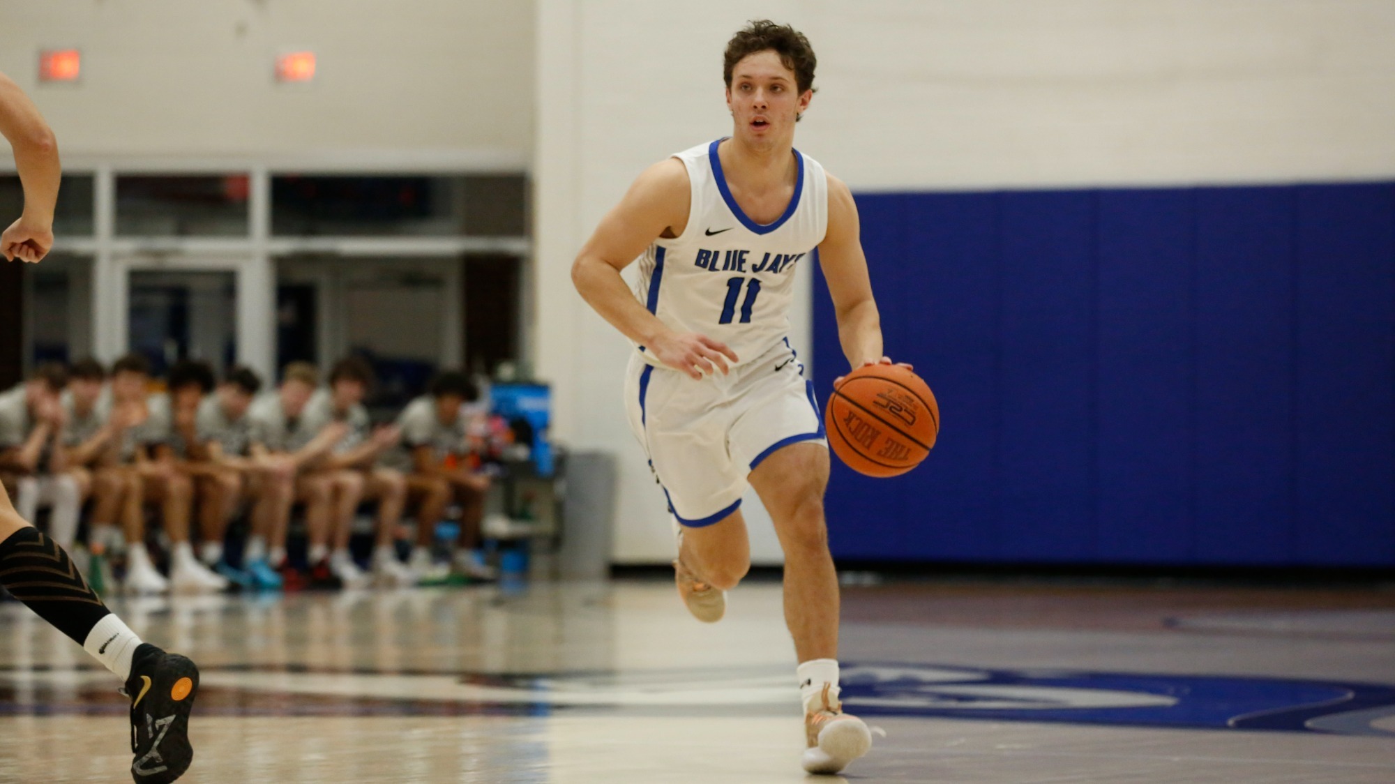 Austin Finarelli Men's Basketball Elizabethtown College Athletics