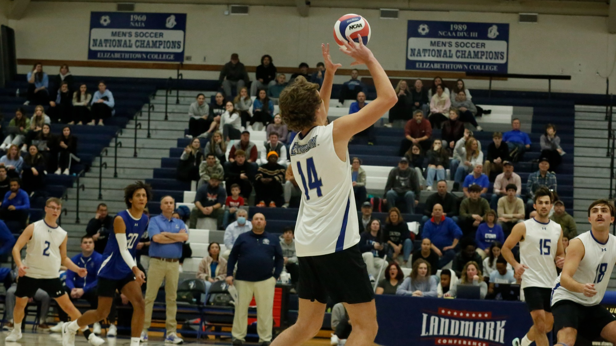 Kyle McKiernan Men's Volleyball Elizabethtown College Athletics