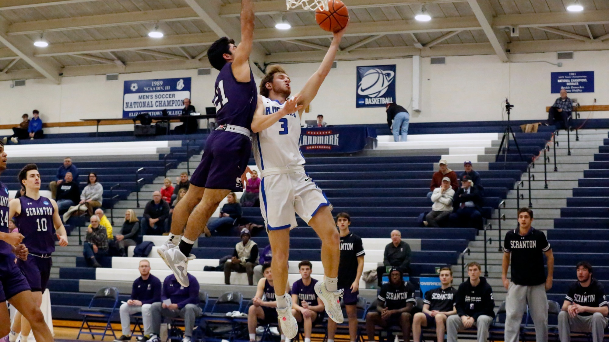 Reese Ziegler Men's Basketball Elizabethtown College Athletics
