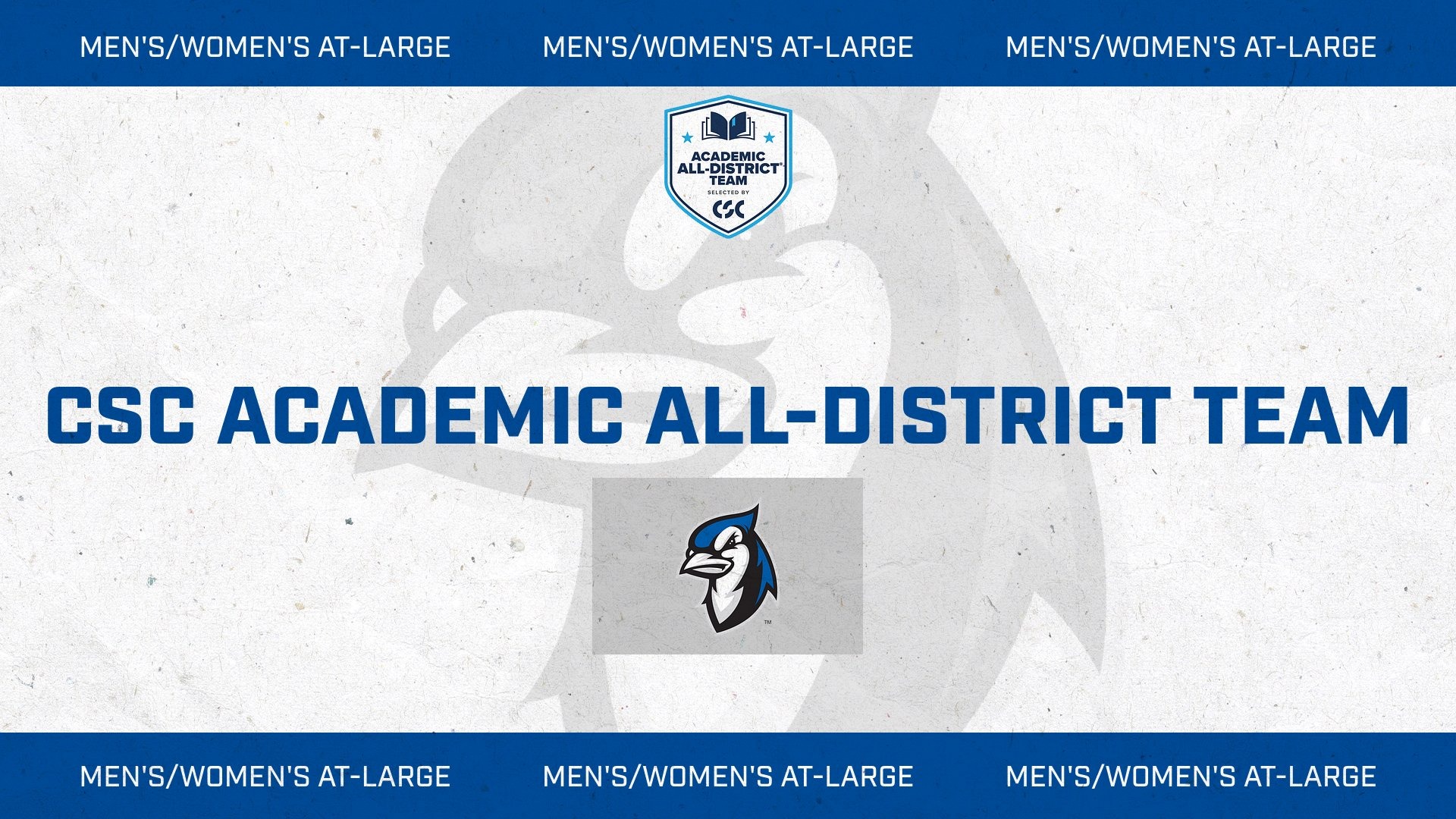 CSC Academic All-District At-Large 2024