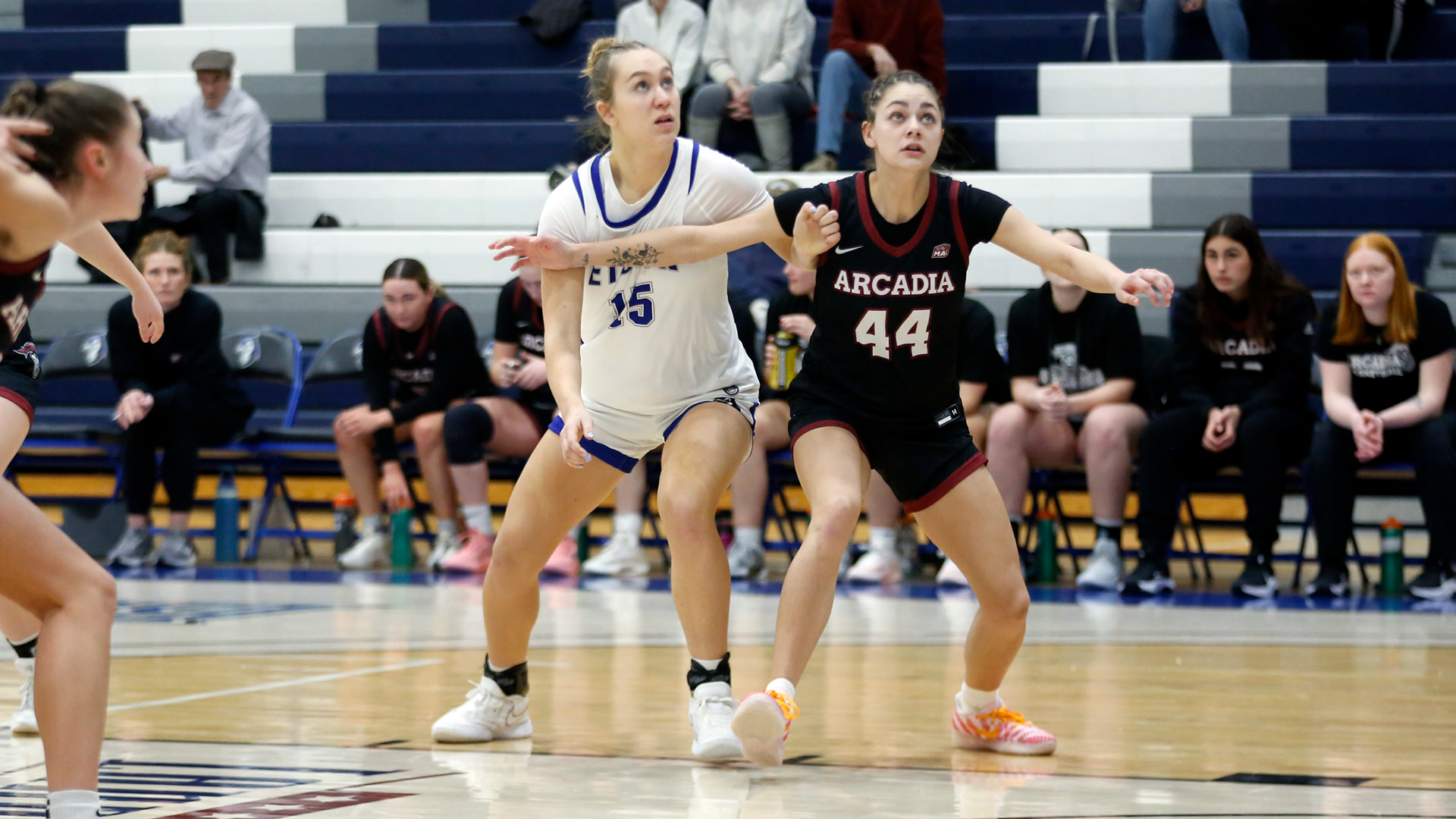 Kiley Wilhelm vs Arcadia 123025