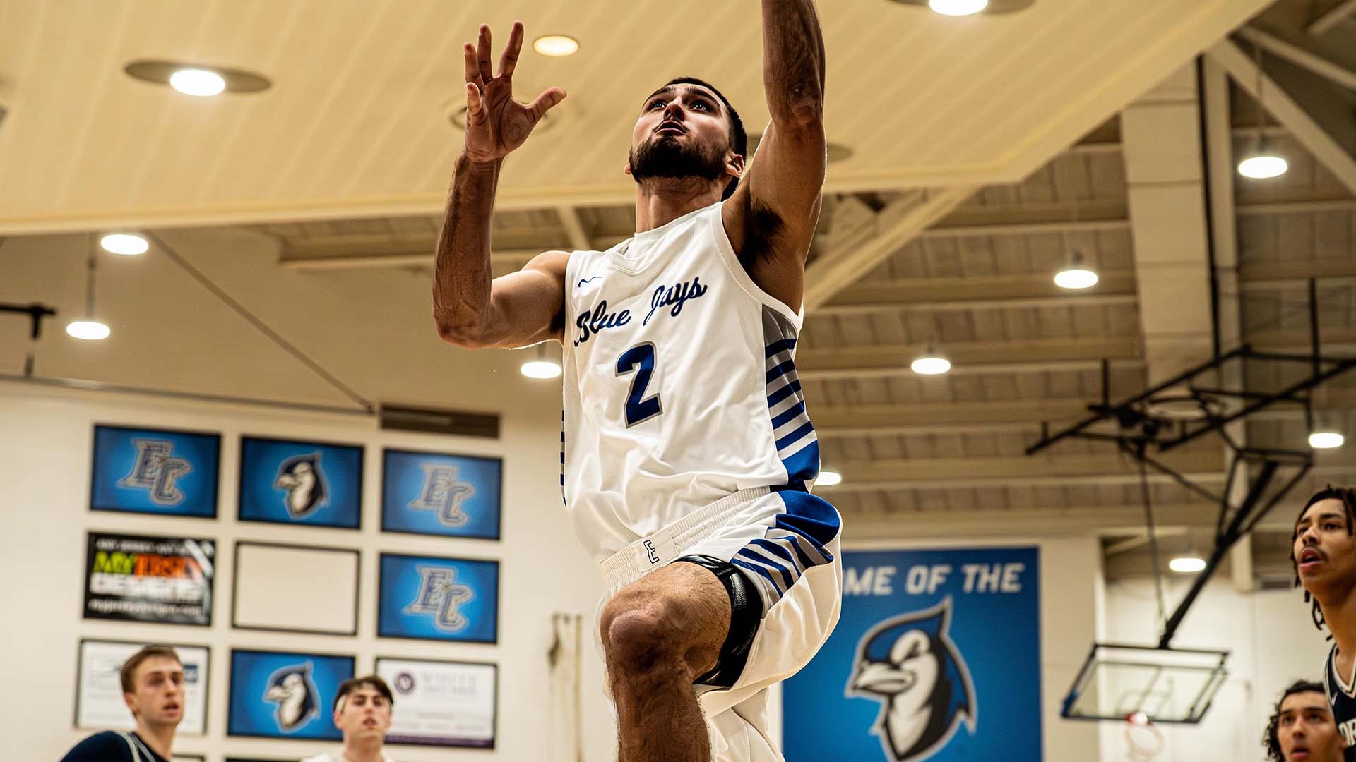 Woody Machado vs. Drew 0204