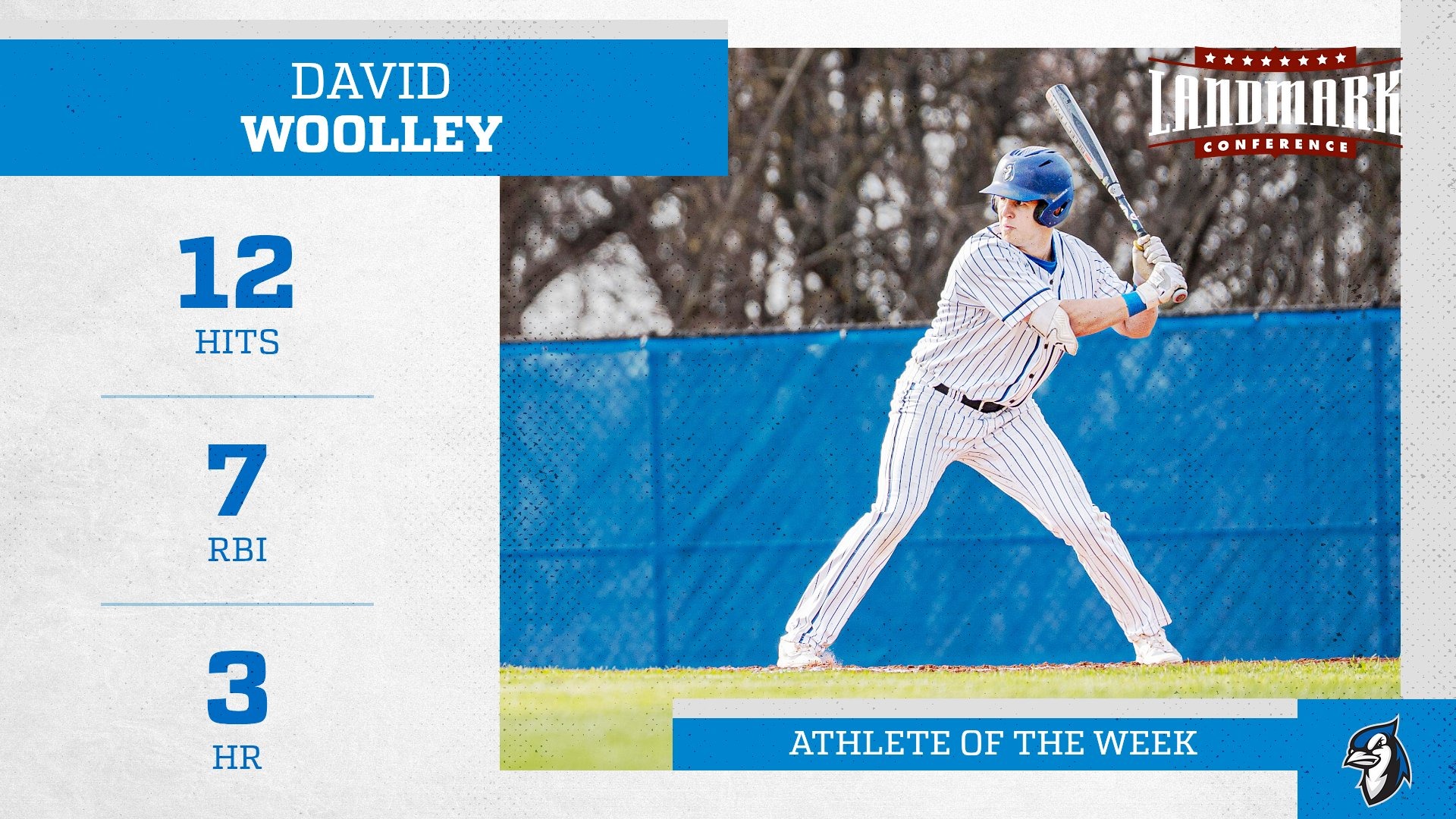 David Woolley AOTW 0413