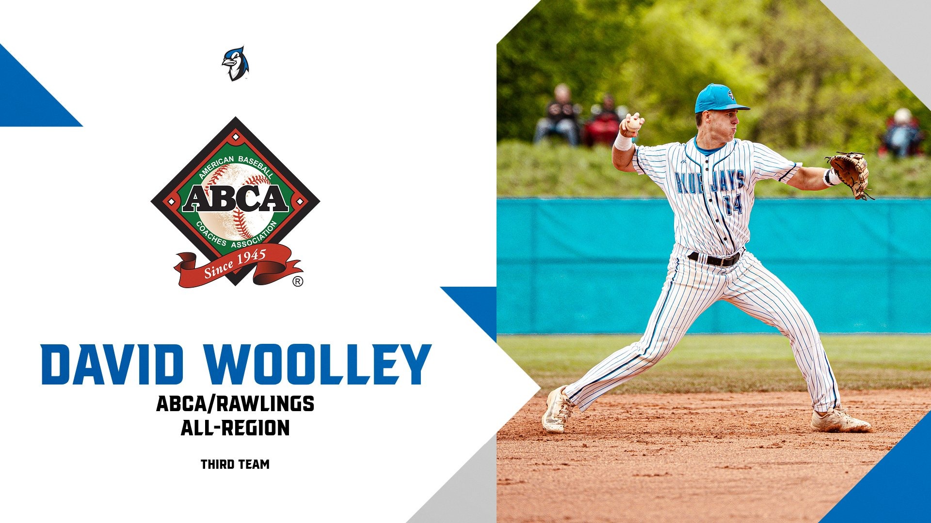 David Woolley ABCA All-Region 2026