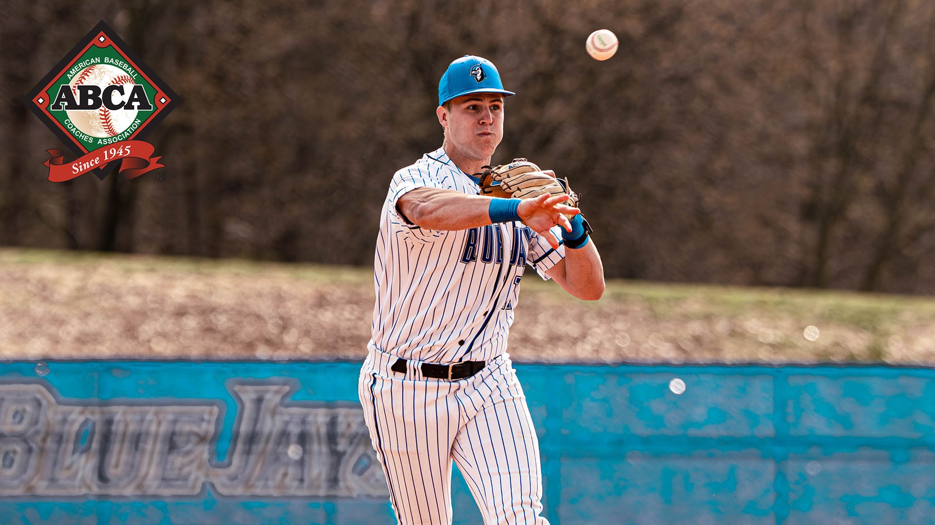 David Woolley ABCA All-Defensive Team