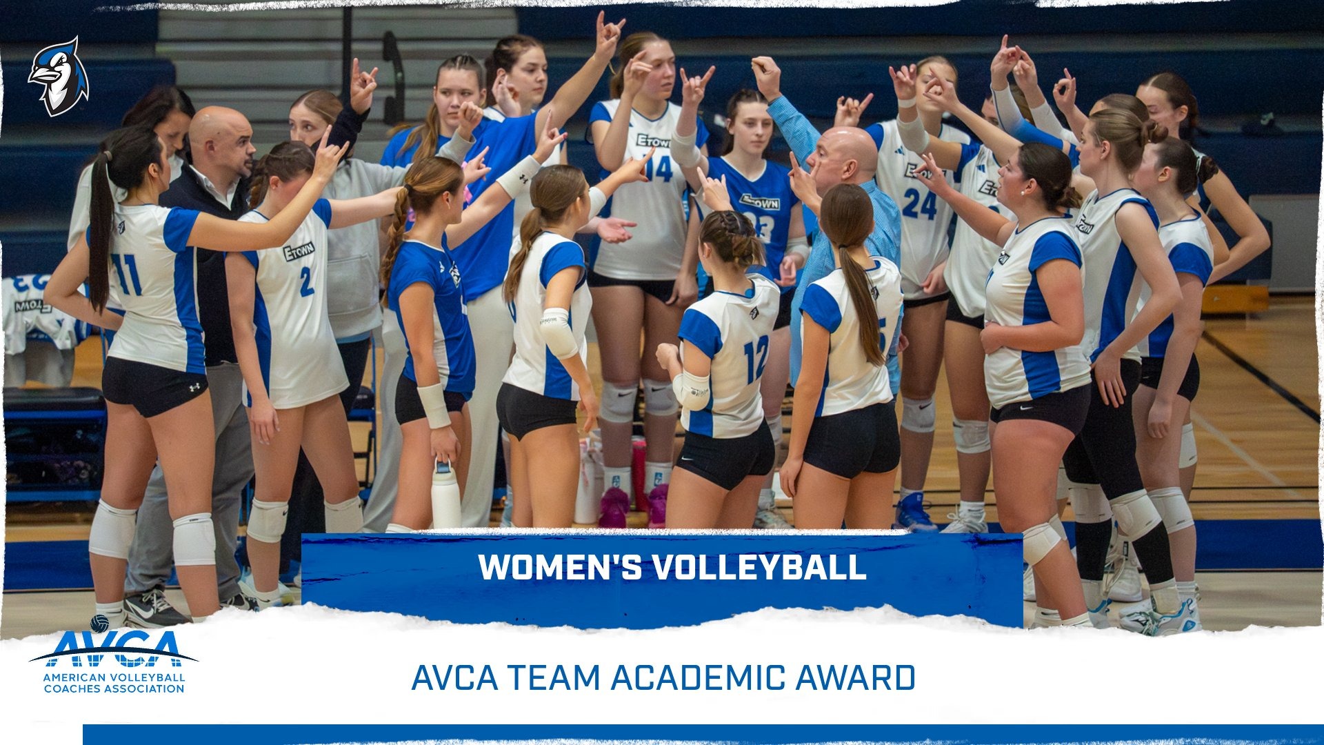 2025 AVCA Team Academic Award