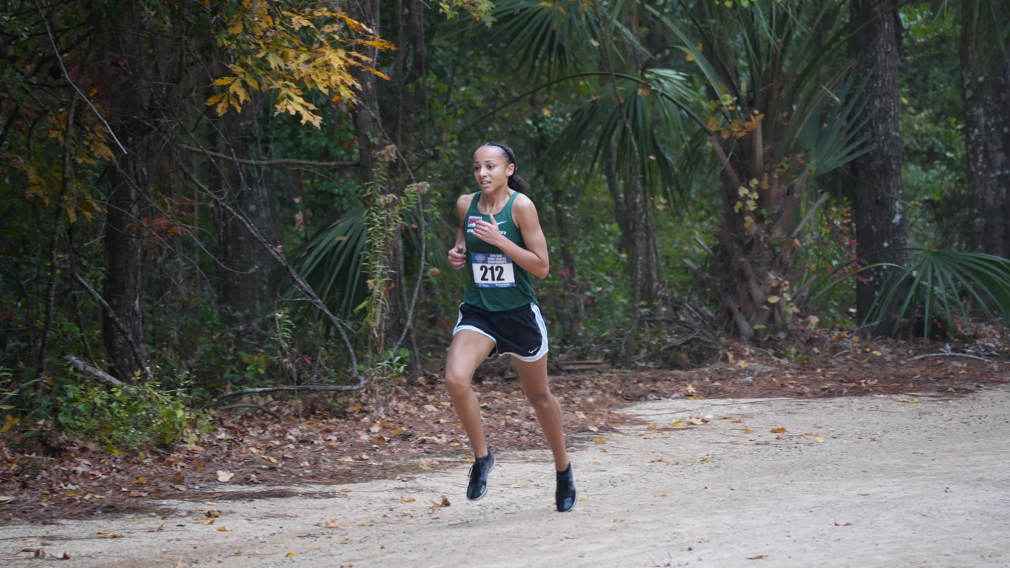 Alauna Carstens runs at the 2025 NAIA Cross Country National Championships.