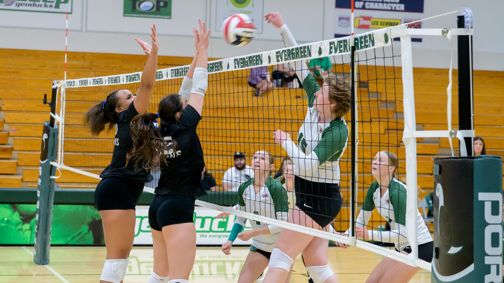 Mikayla Kelly attacked the ball for Evergreen.
