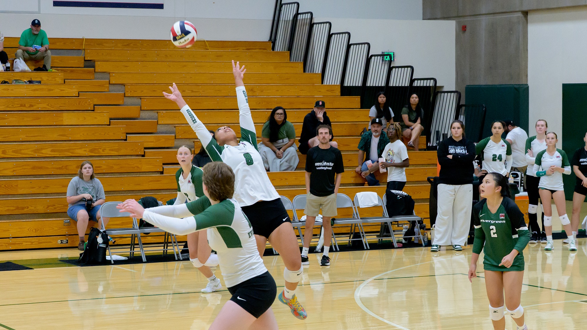 Jayden Vaimaona sets the ball for Evergreen.