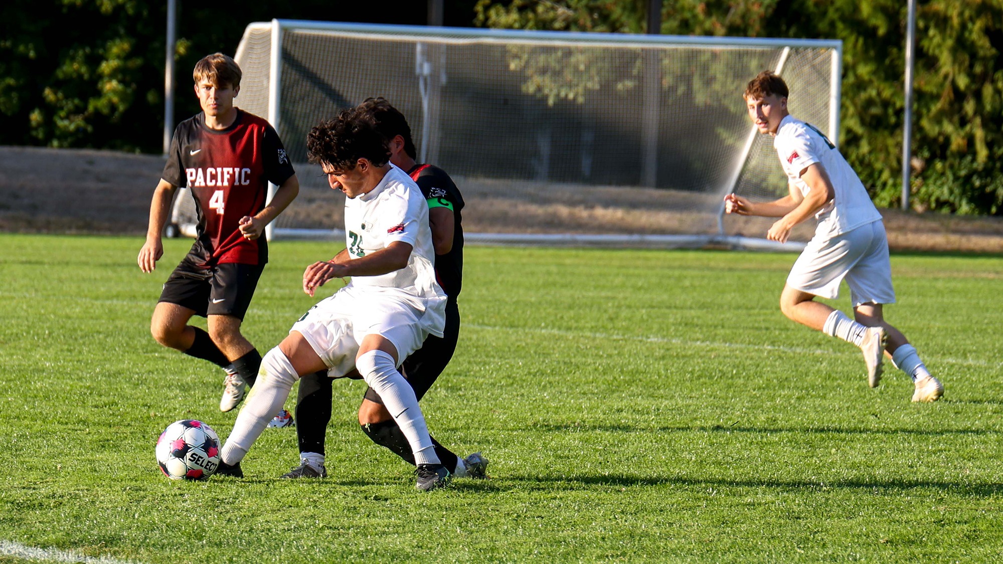 Noah Blake of Evergreen shields the ball from a defender.