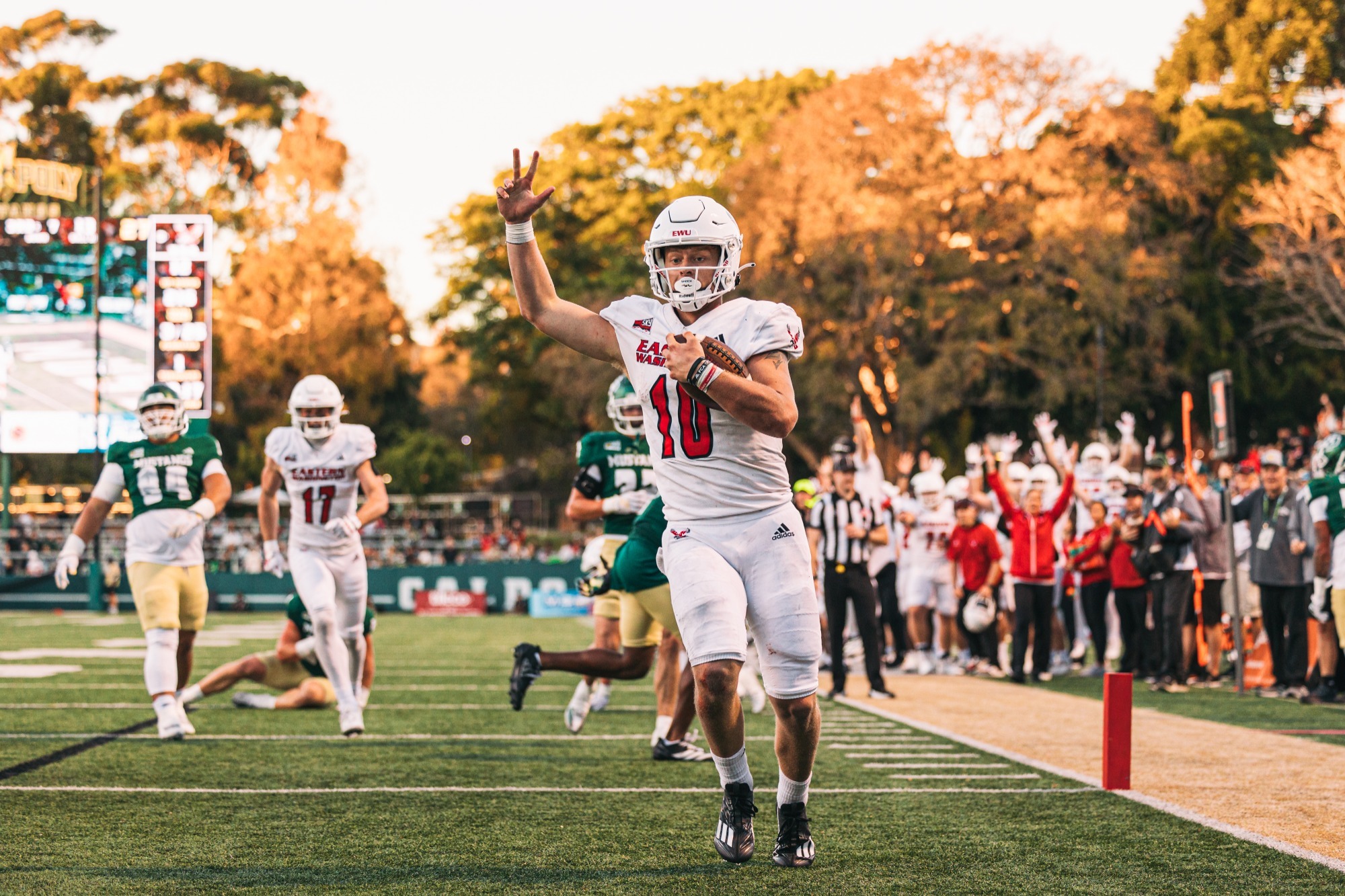 Rolfsness rushing TD vs. Cal Poly '25