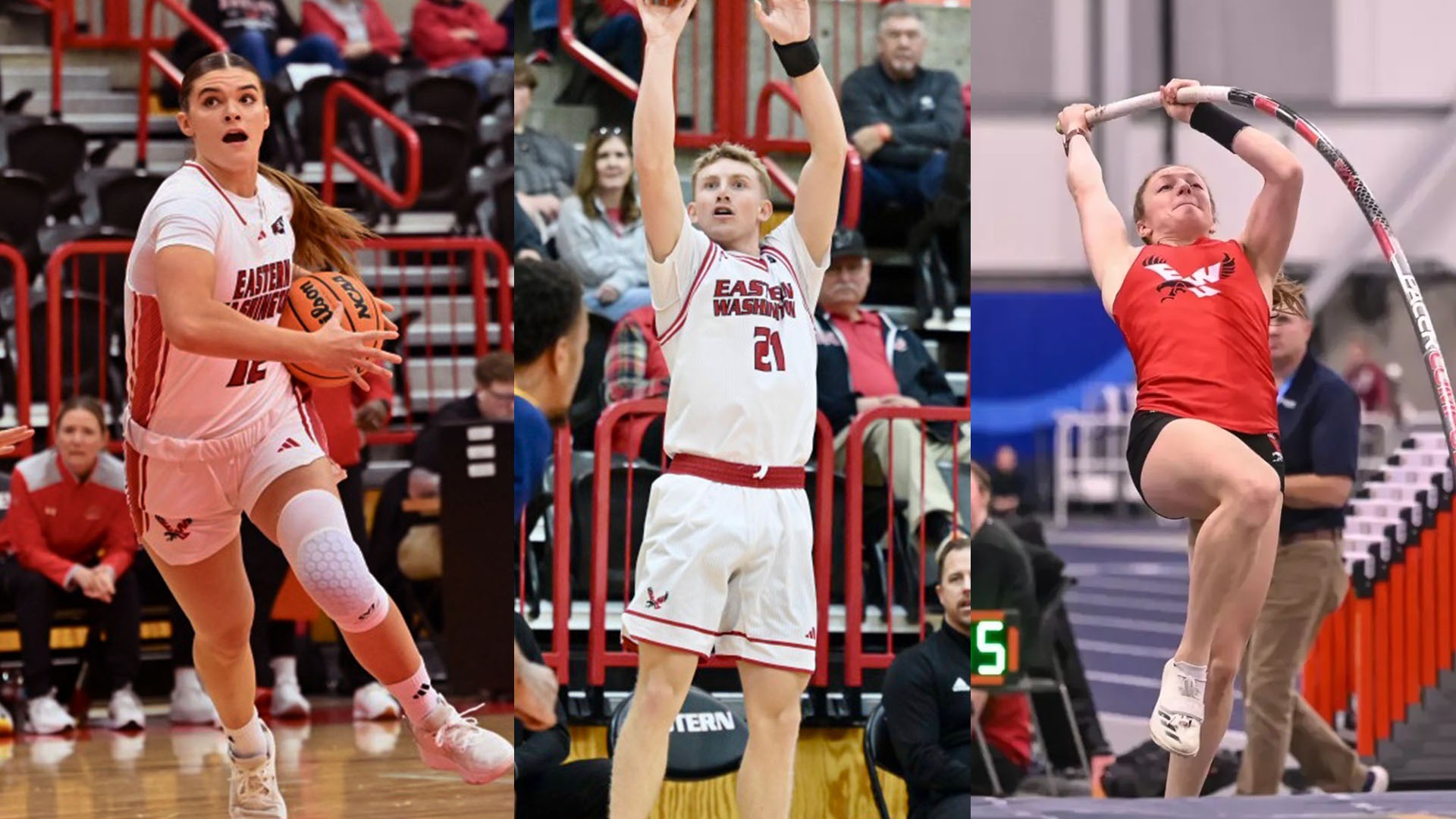 December 8-14 This Week Graphic