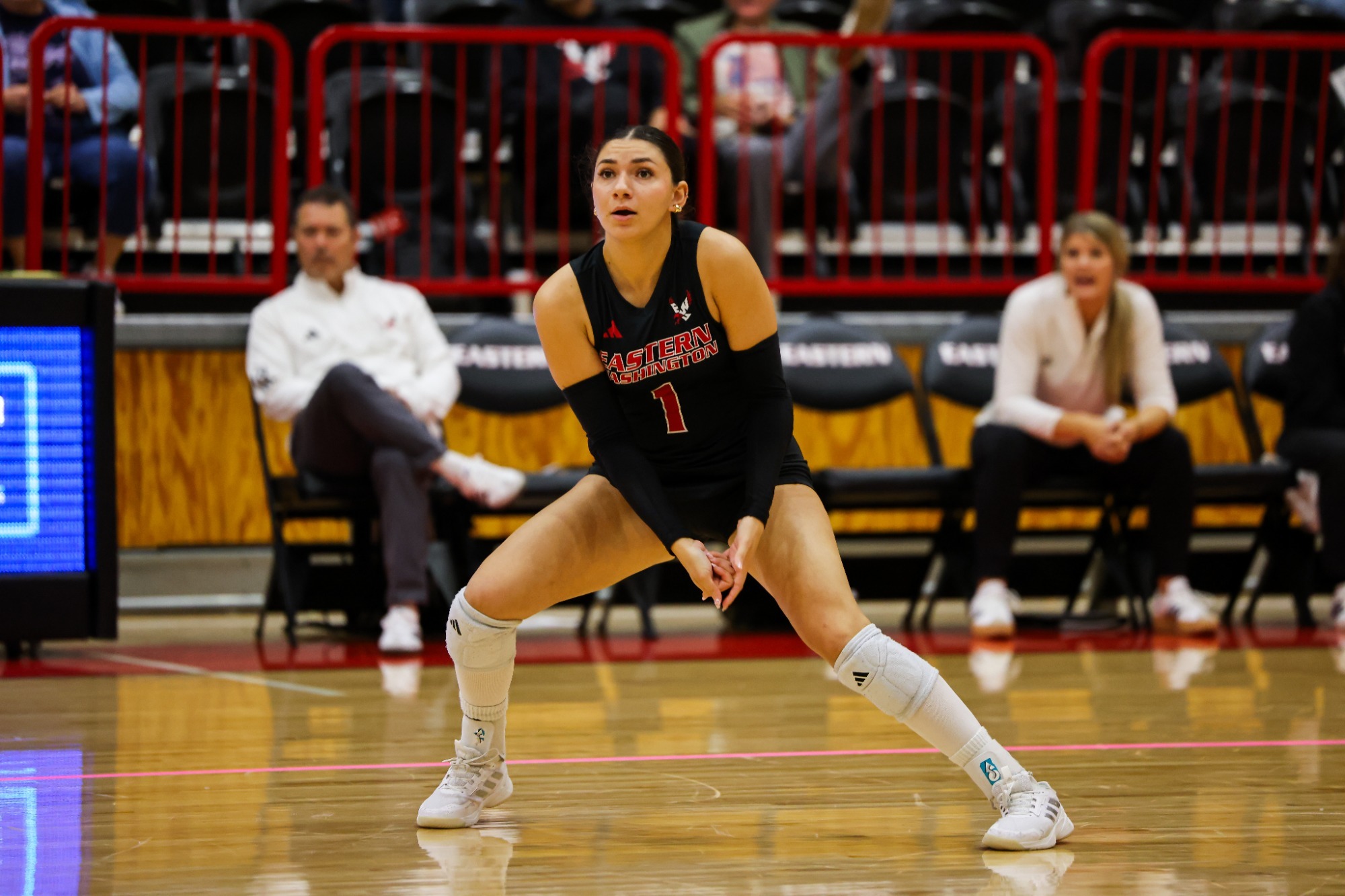 Stephanie Grosswirt vs PSU