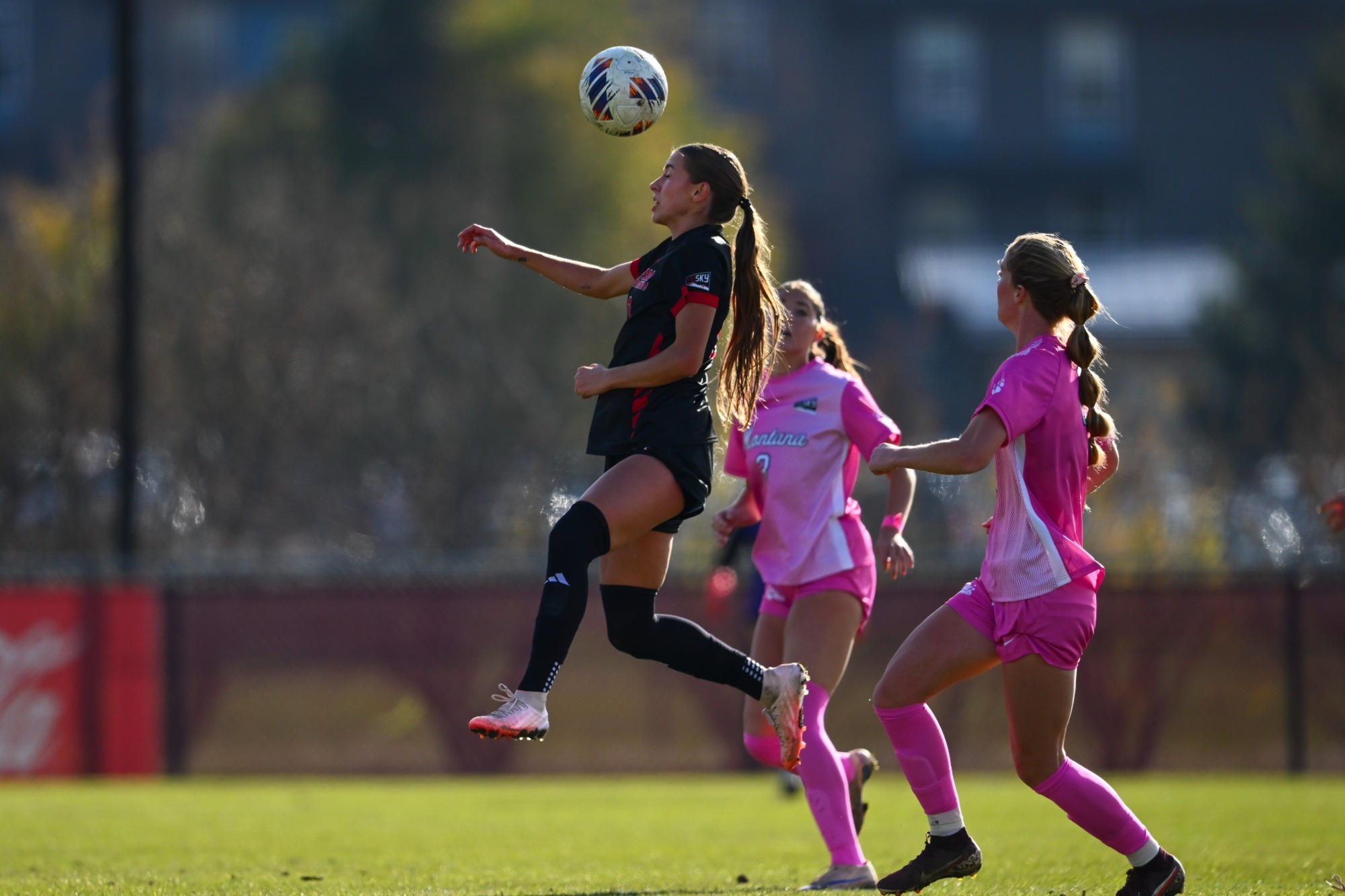 Mia Miconi vs UM