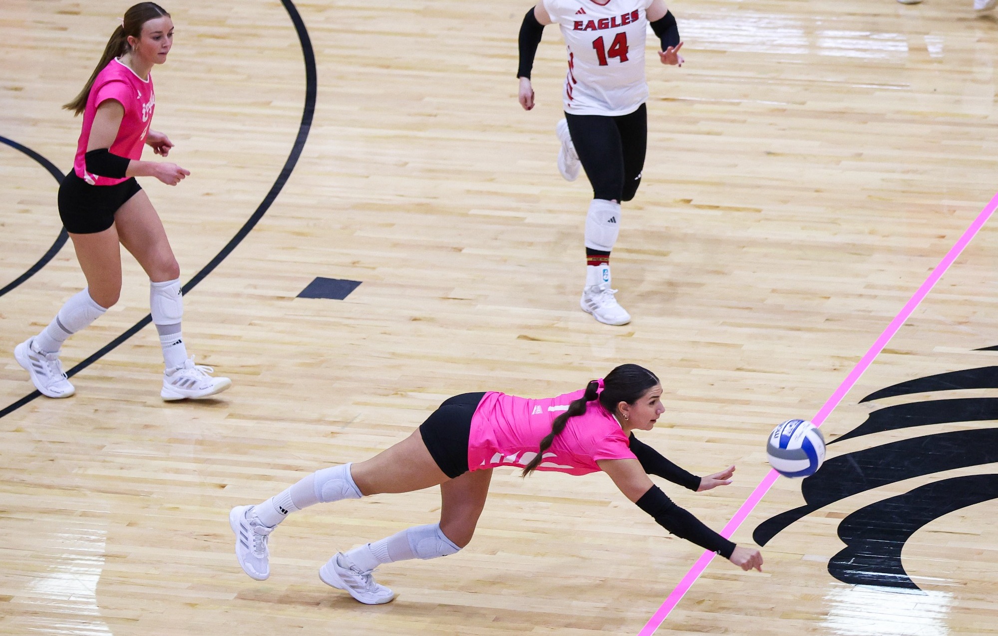 Stephanie Grosswirt dive vs UI