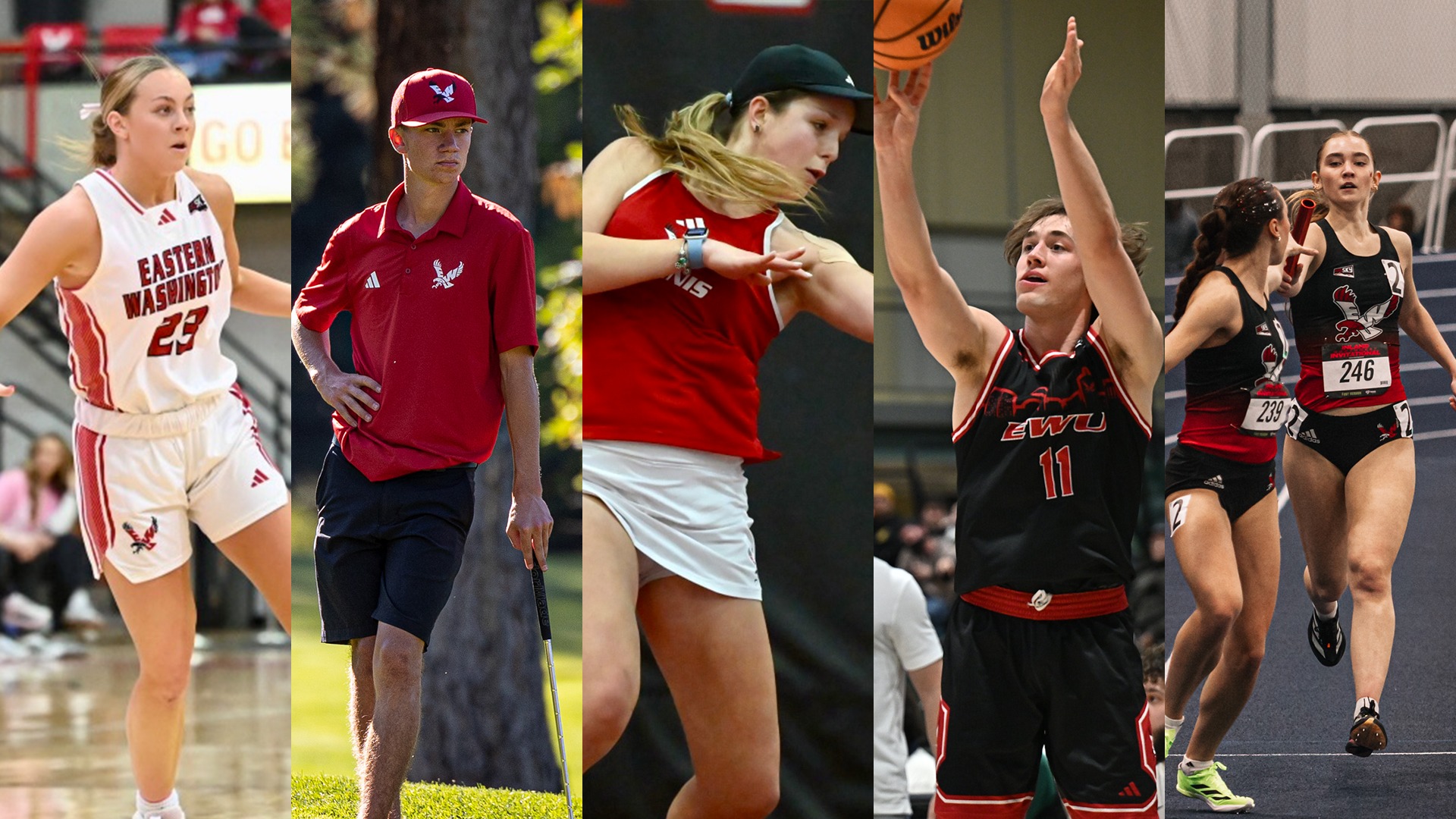 Feb. 23-March 1 This Week Graphic