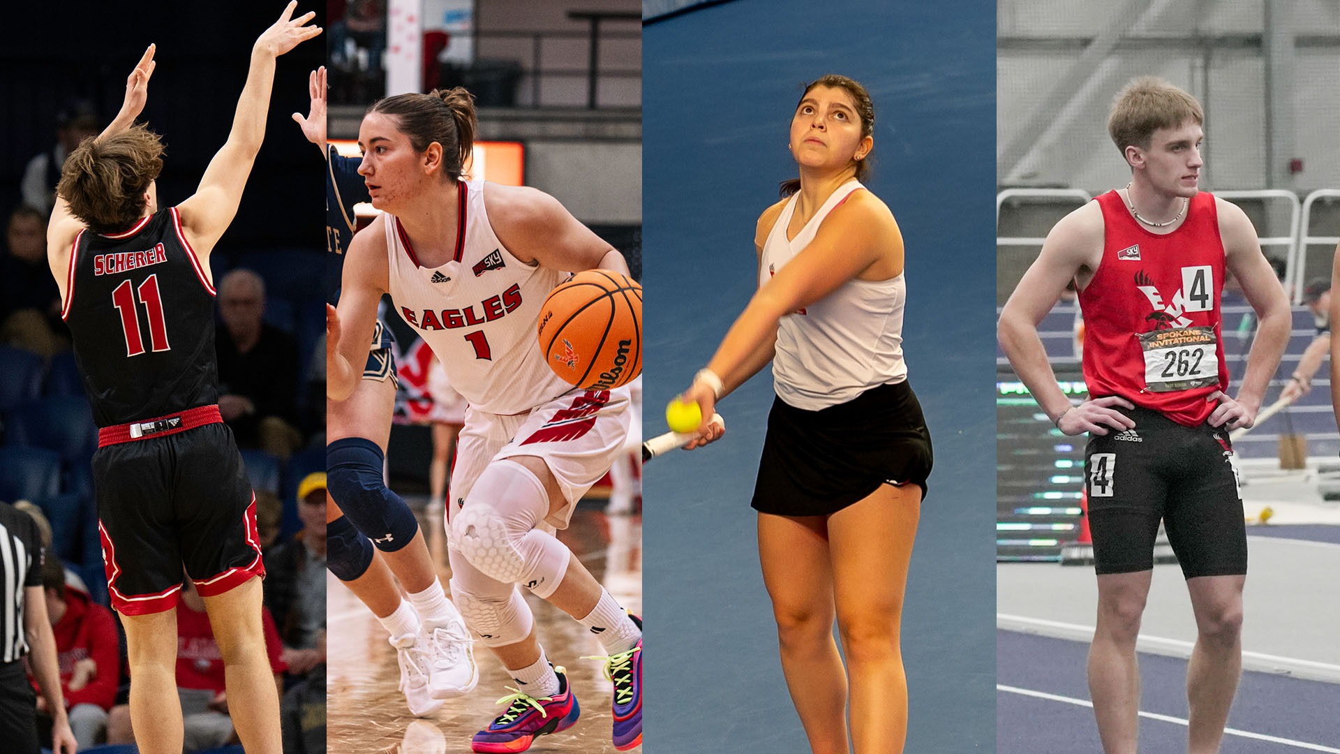 Feb. 9-15 This Week Graphic