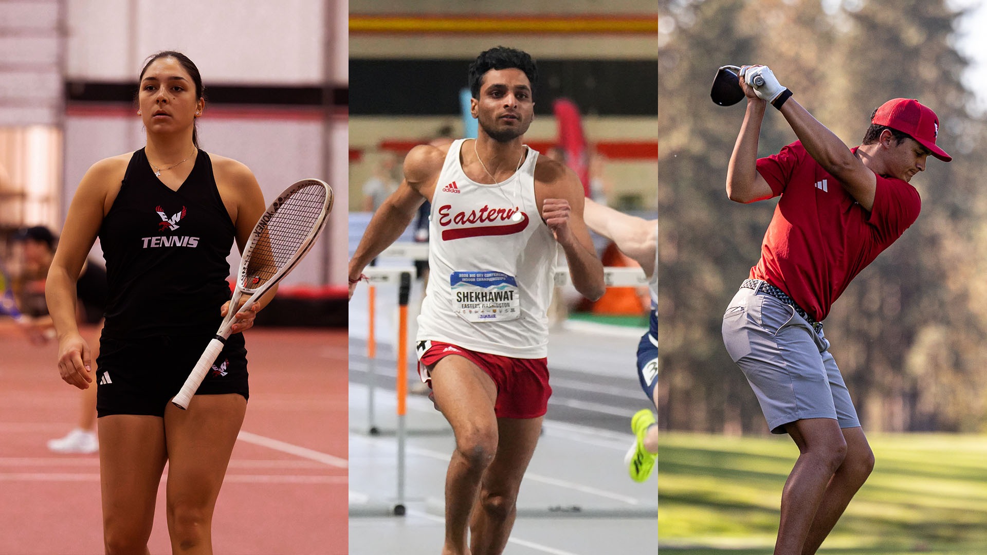 March 16-22 This Week Graphic