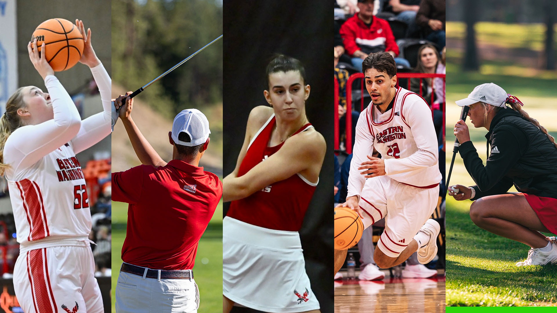 March 2nd-8th This Week Graphic