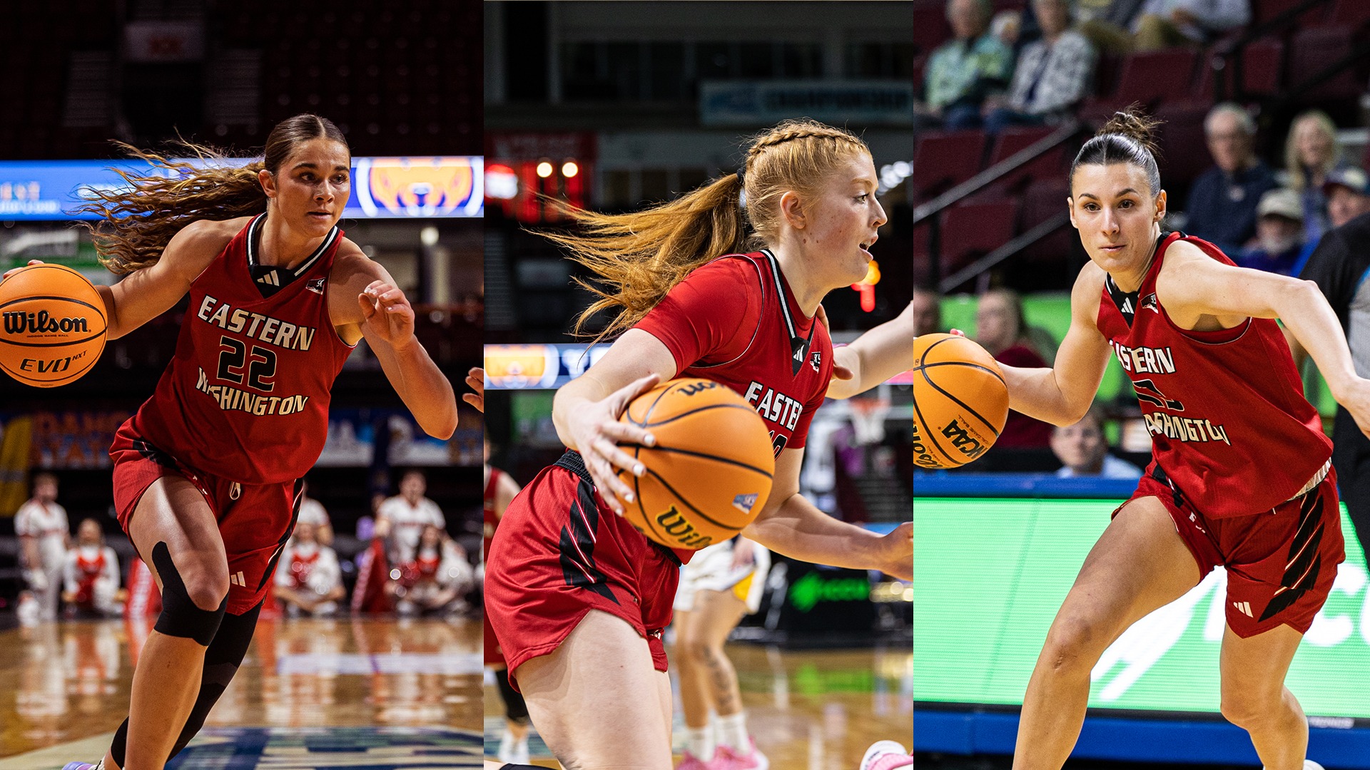 2026 CoSIDA WBB All-District Graphic