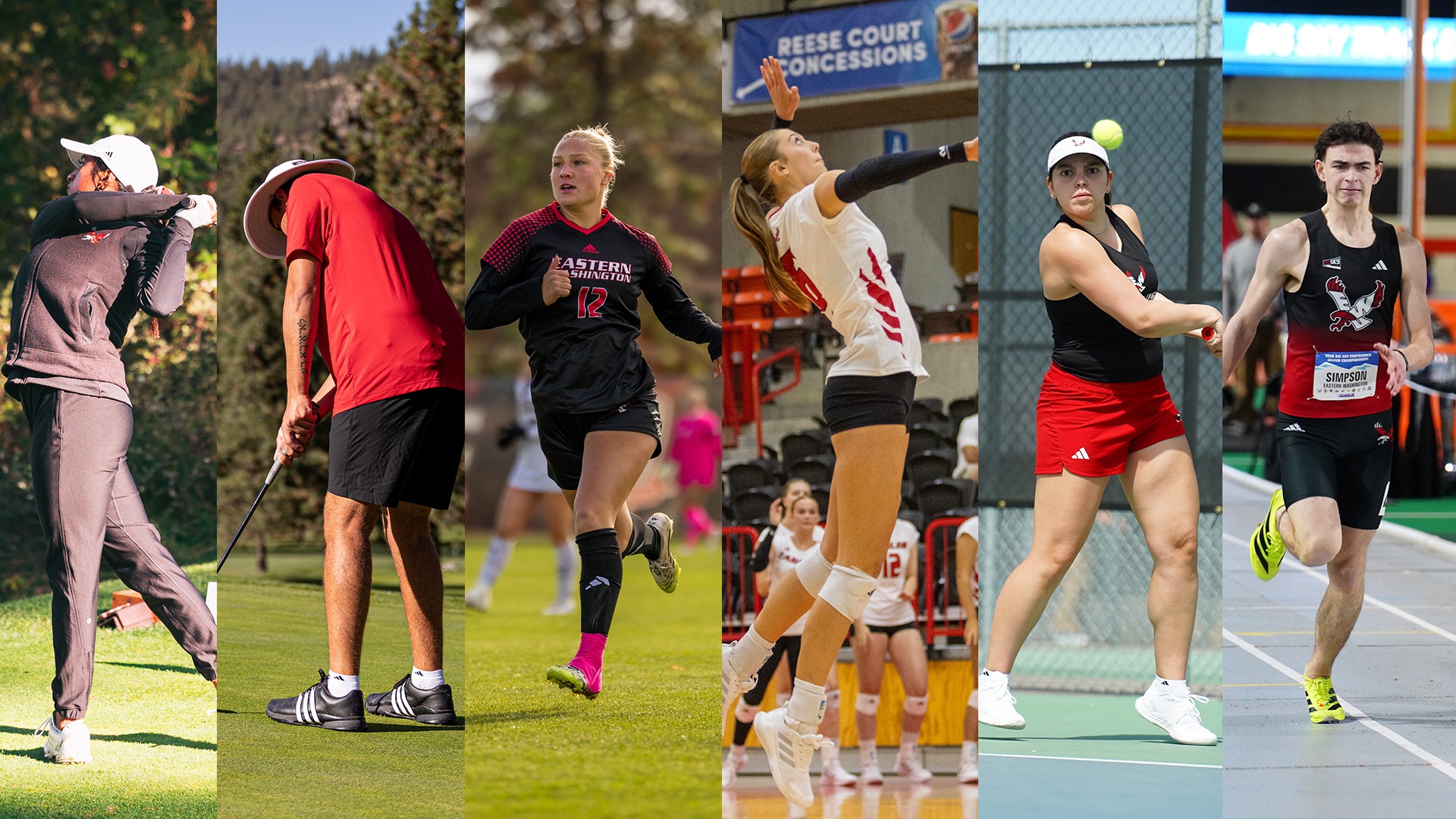 April 13-19 This Week Graphic