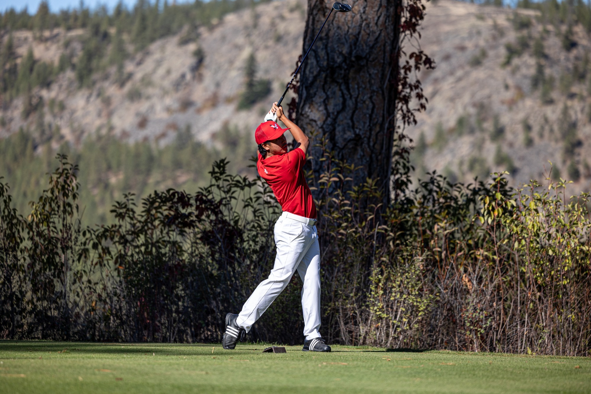 Bustos tee shot fall '25