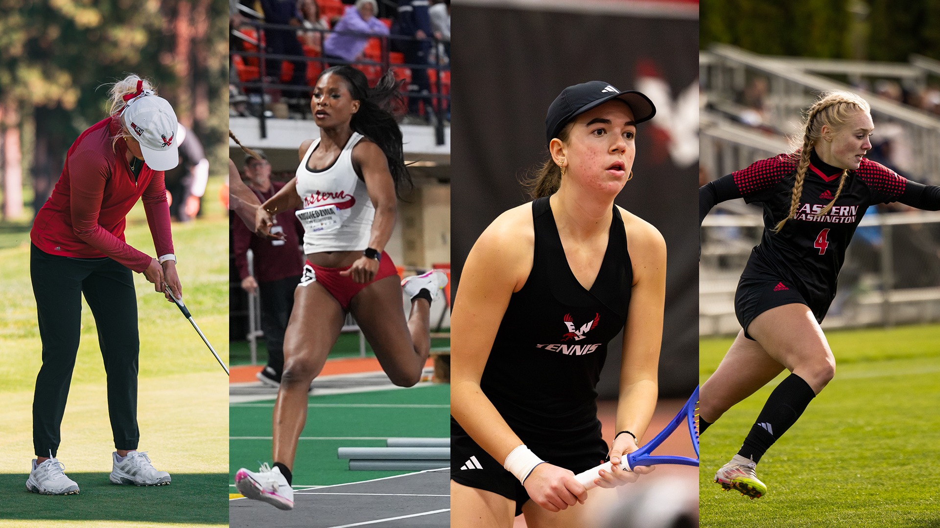 April 6-12 This Week Graphic