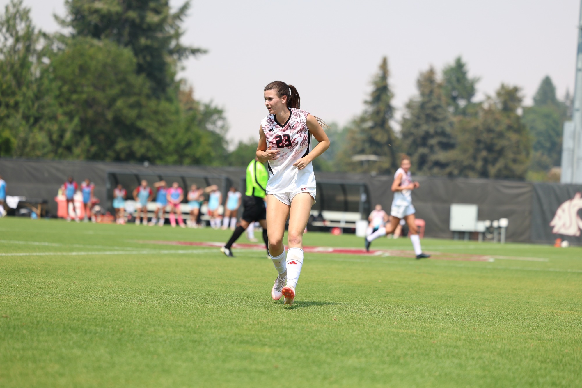 Riley Roesch vs WSU 